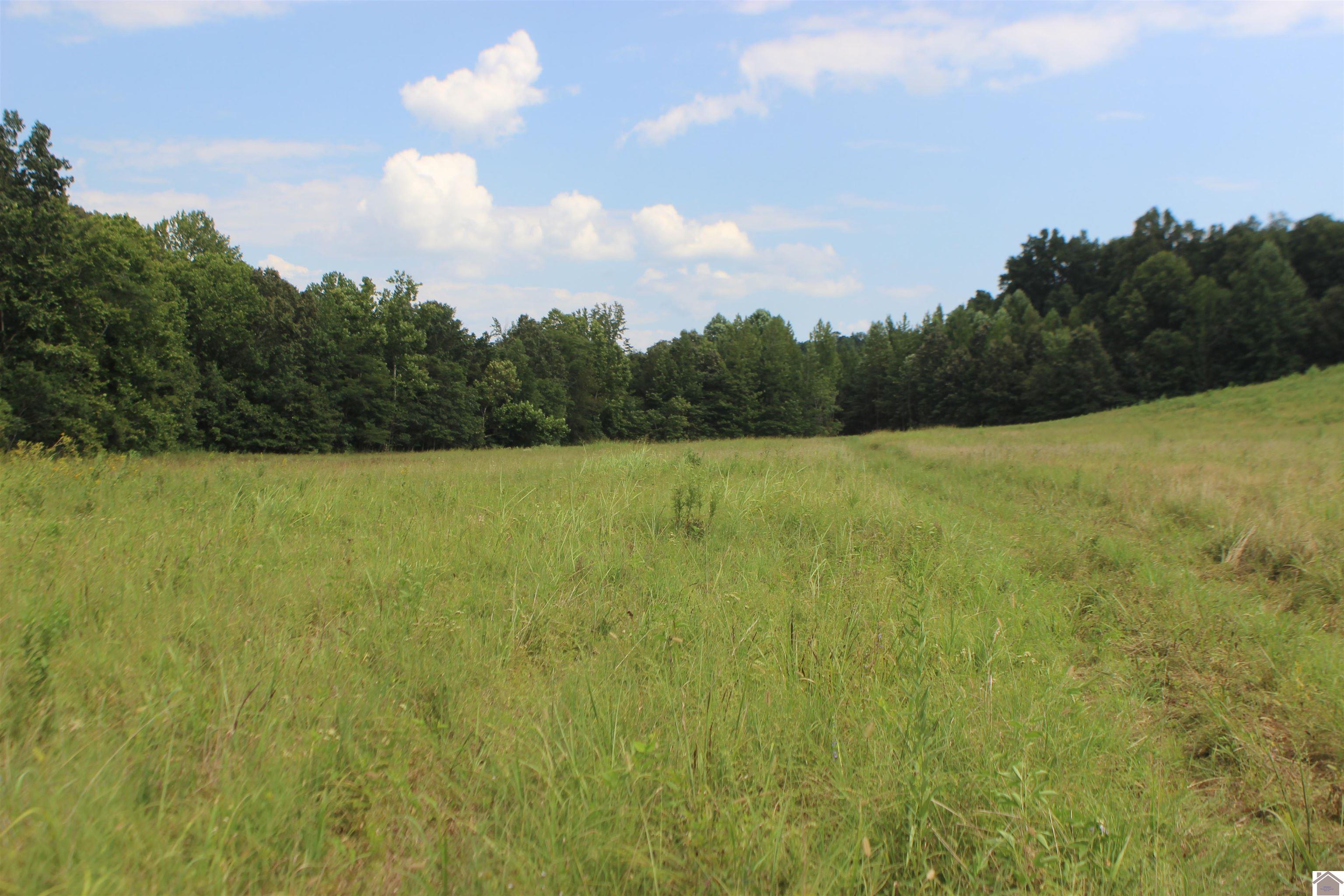 000 E Hwy 62 Property Photo 1