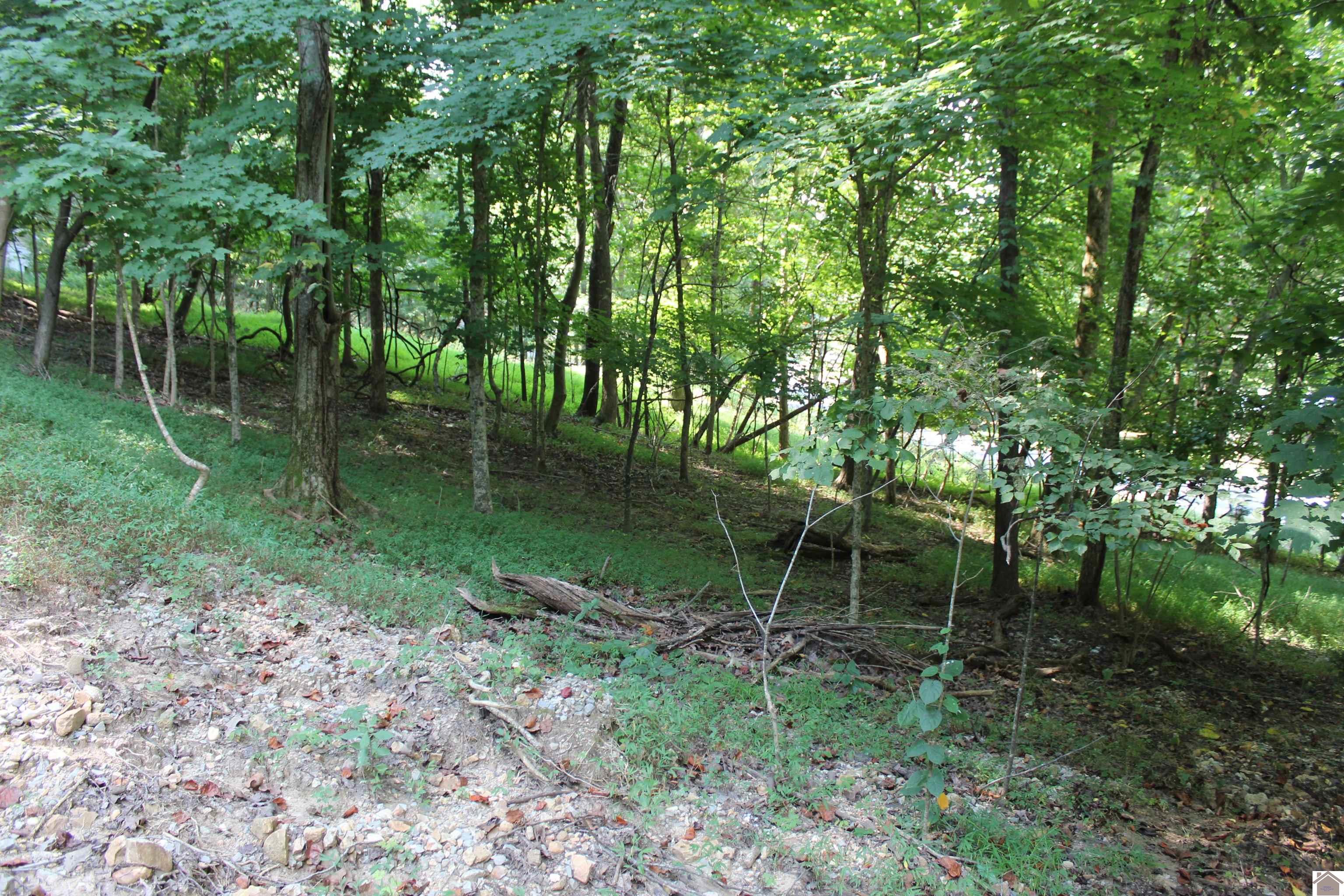 350 Oriole Drive