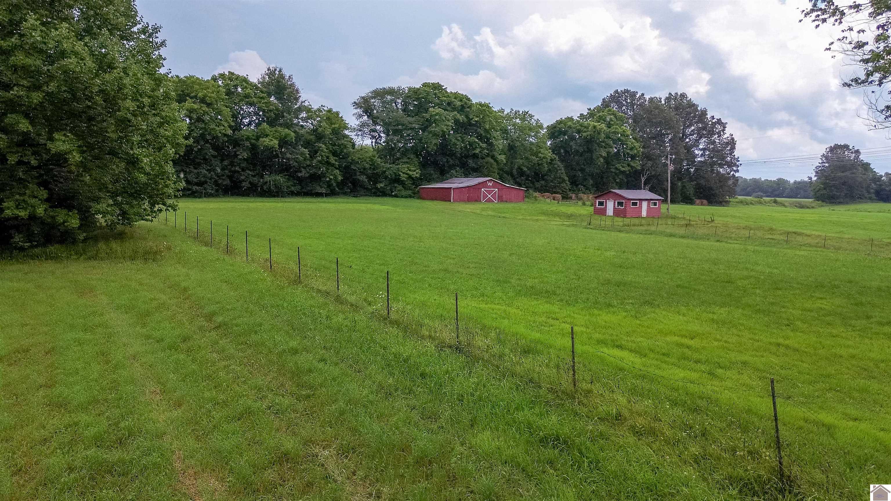 1744 Sharpe School Road Property Photo 5