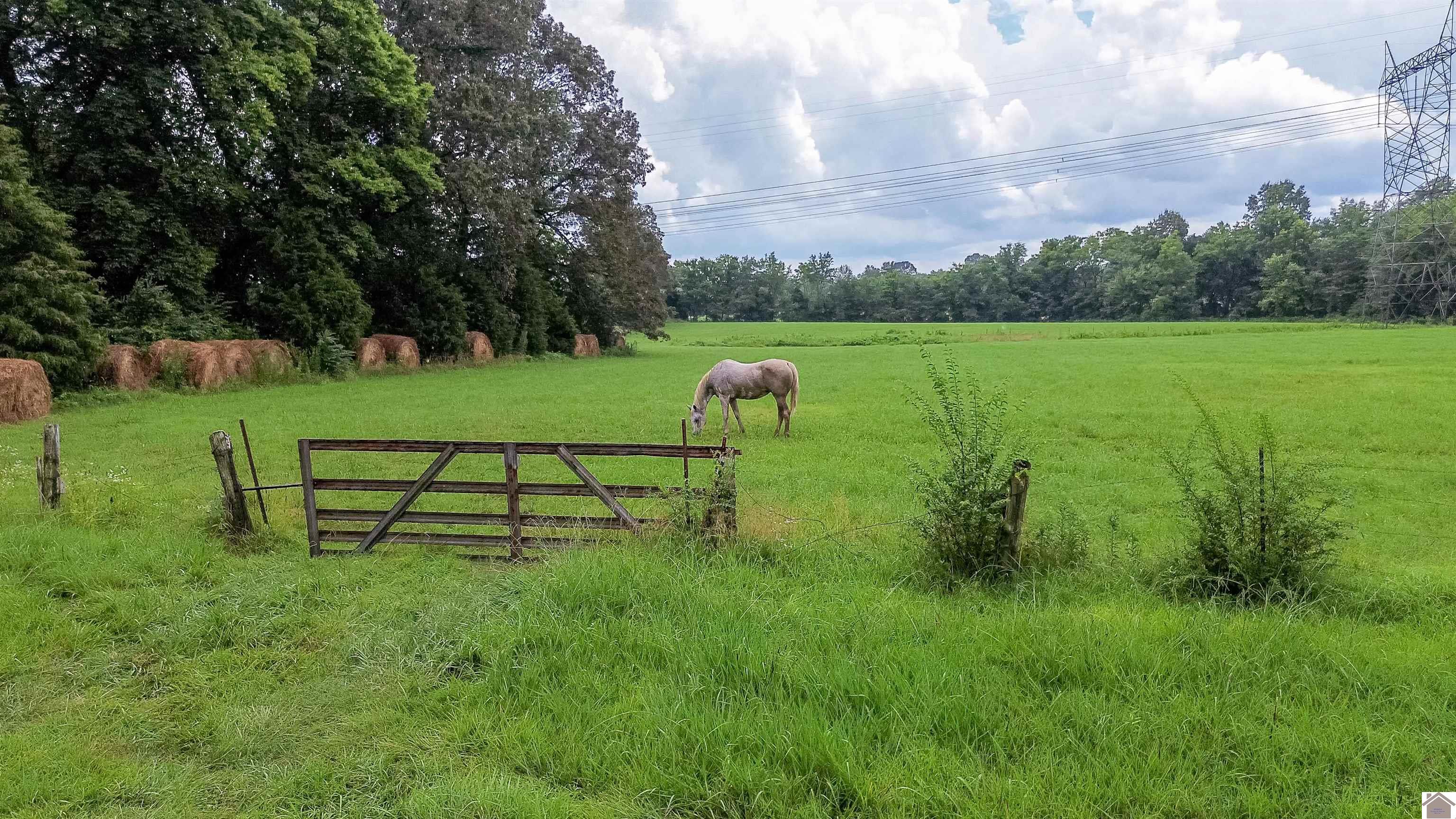 1744 Sharpe School Road Property Photo 6