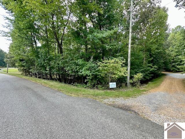 Lot 51 Block E On Serenity Shores Rd Property Photo 1