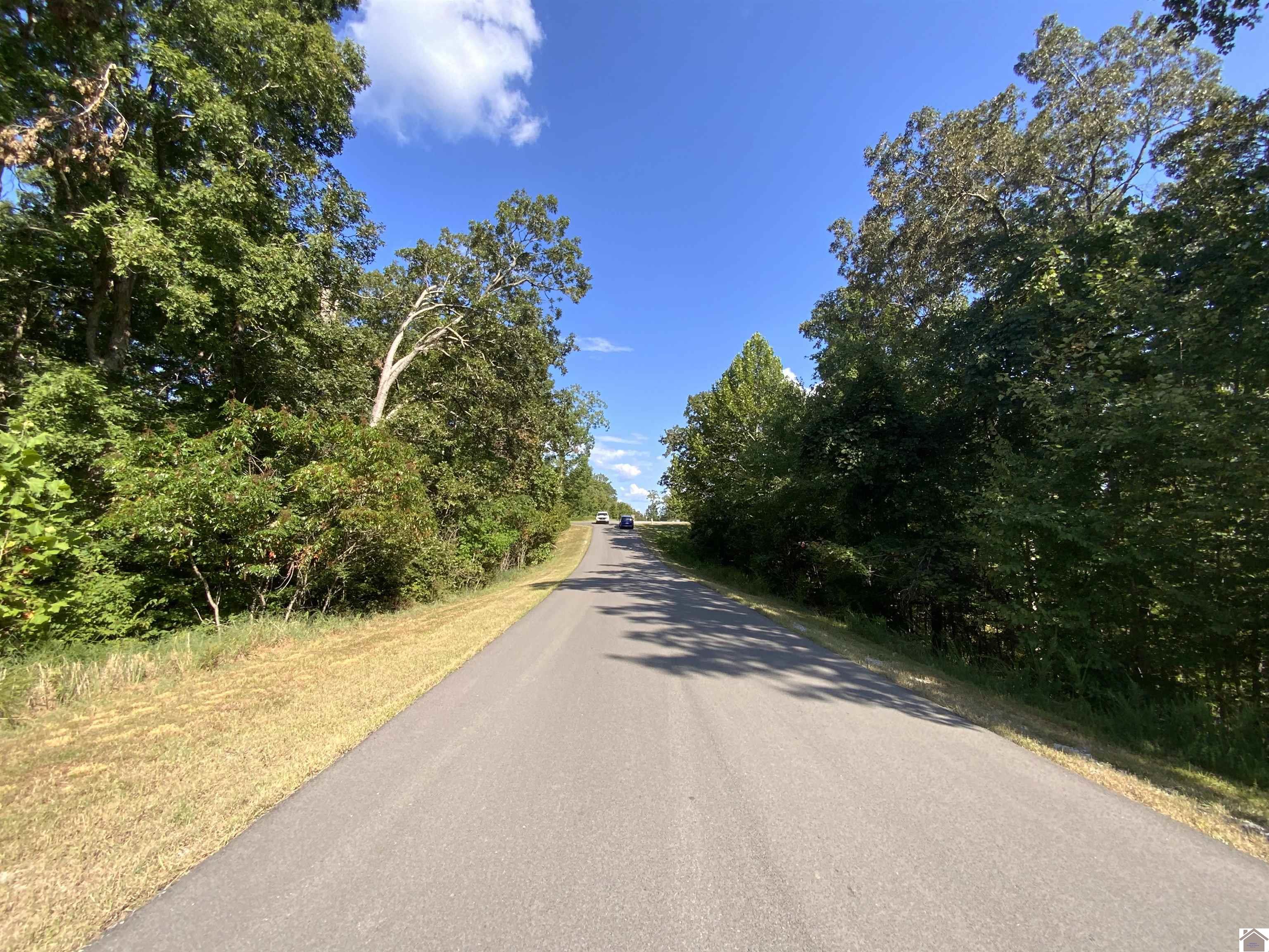 Lots 71,72,73 Dock Drive Property Photo 4