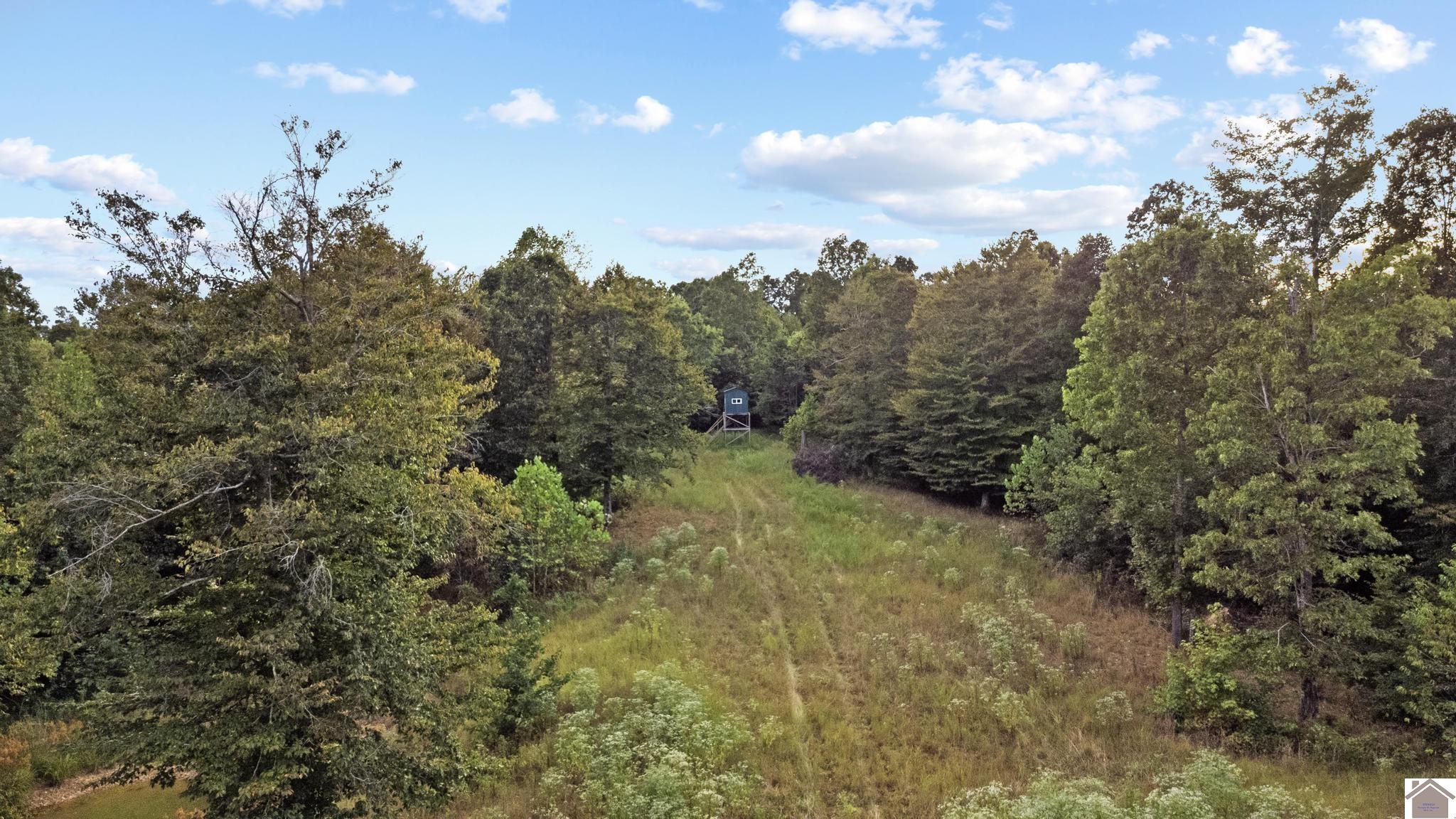 000 Rockcastle Road Property Photo 1
