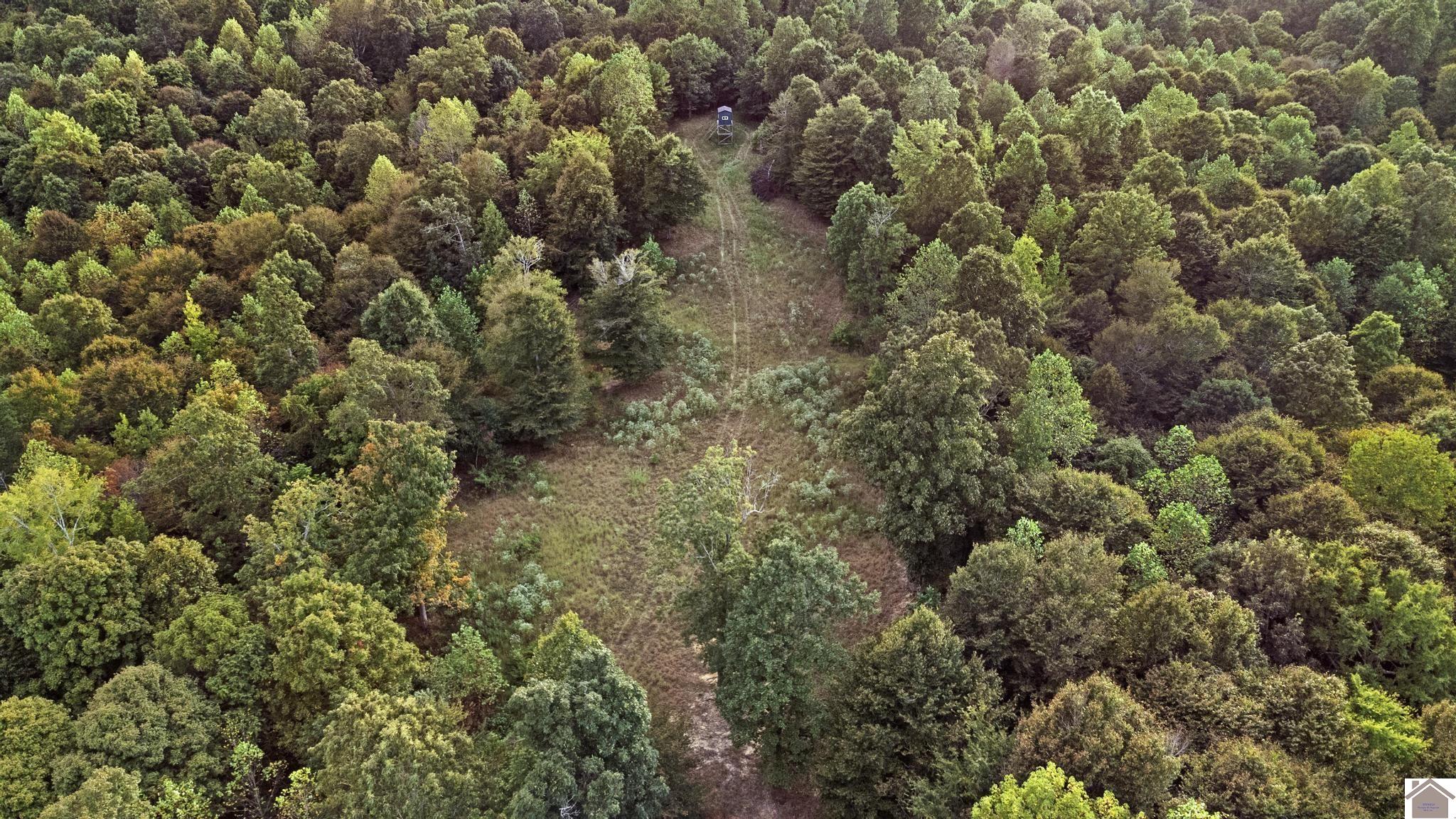000 Rockcastle Road Property Photo 14