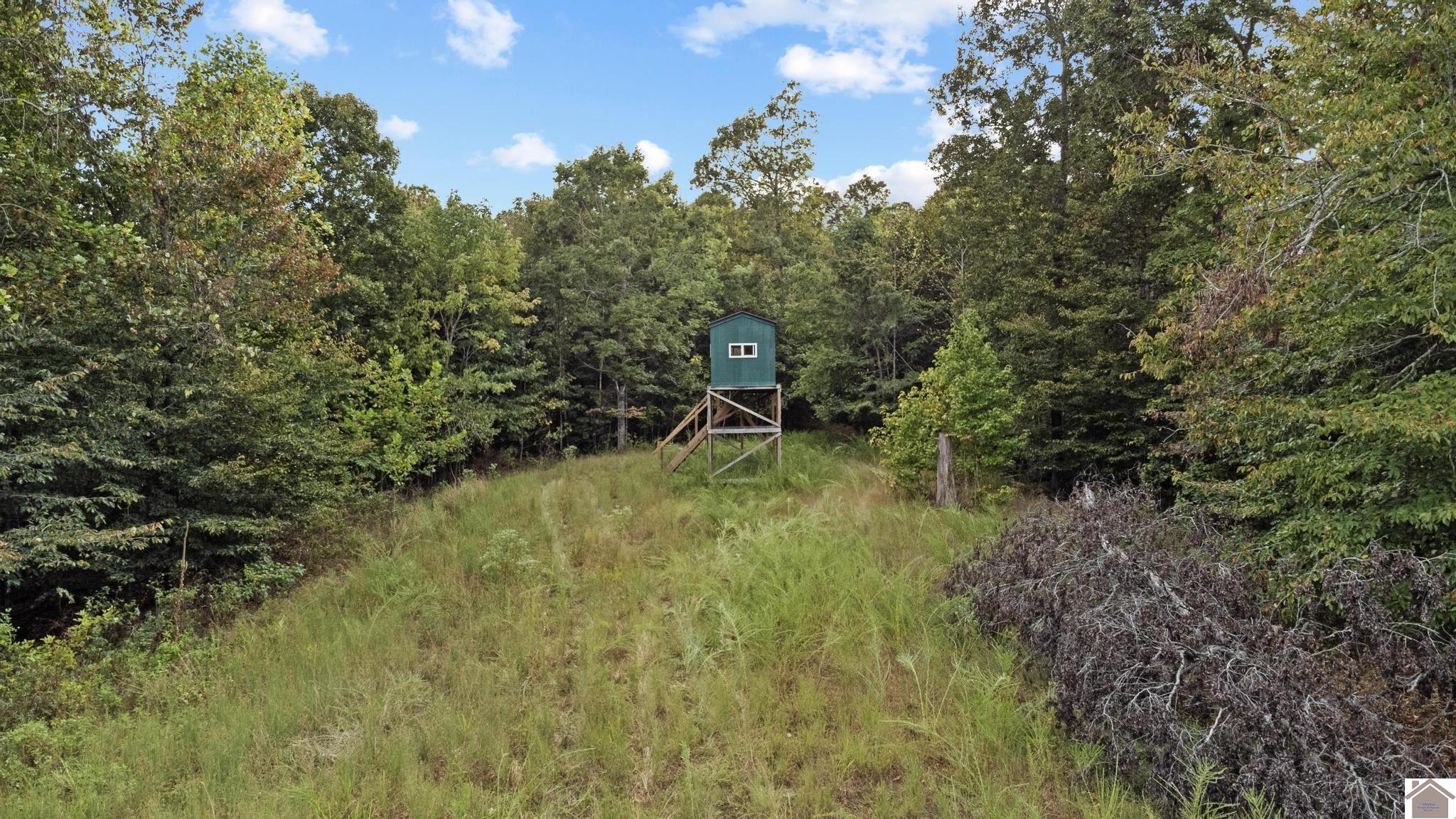 000 Rockcastle Road Property Photo 15