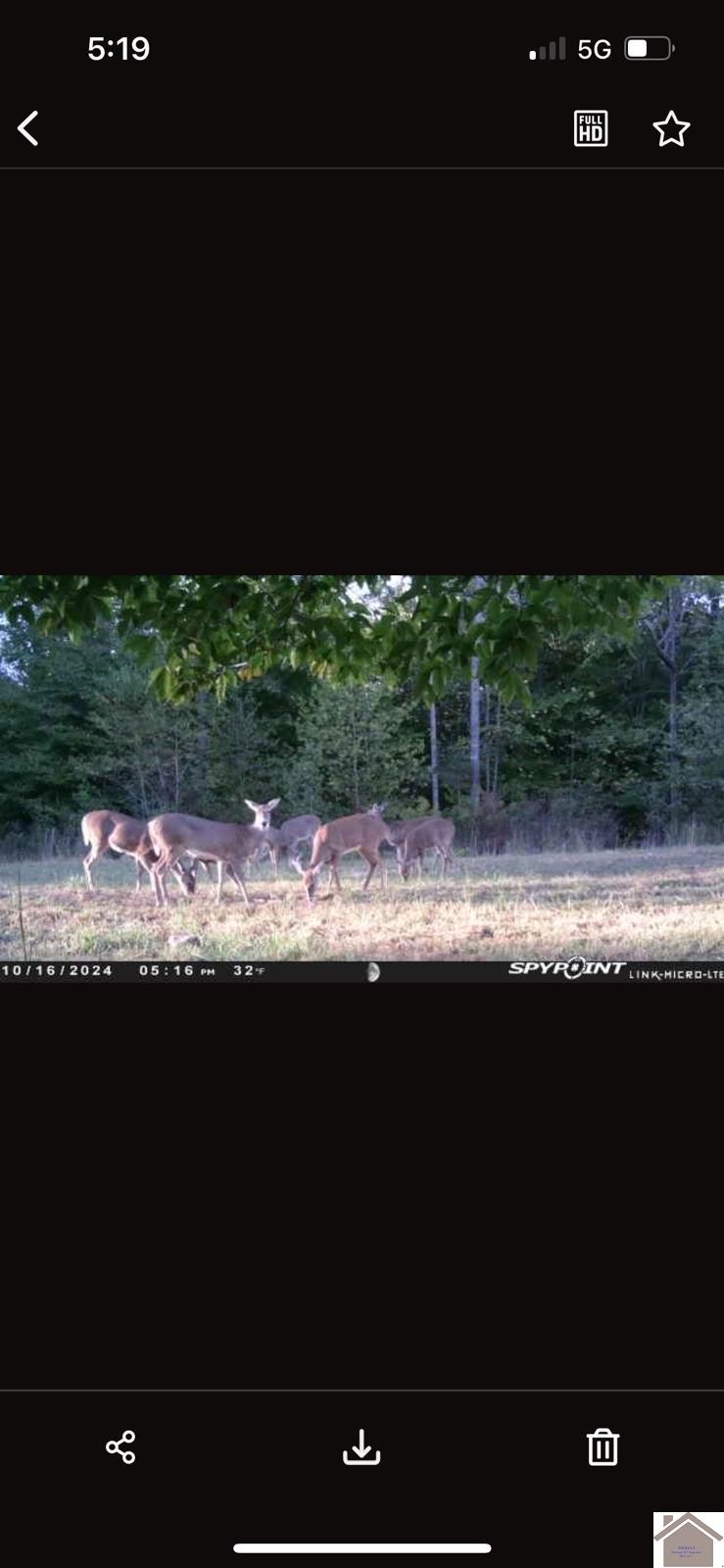 000 Rockcastle Road Property Photo 20