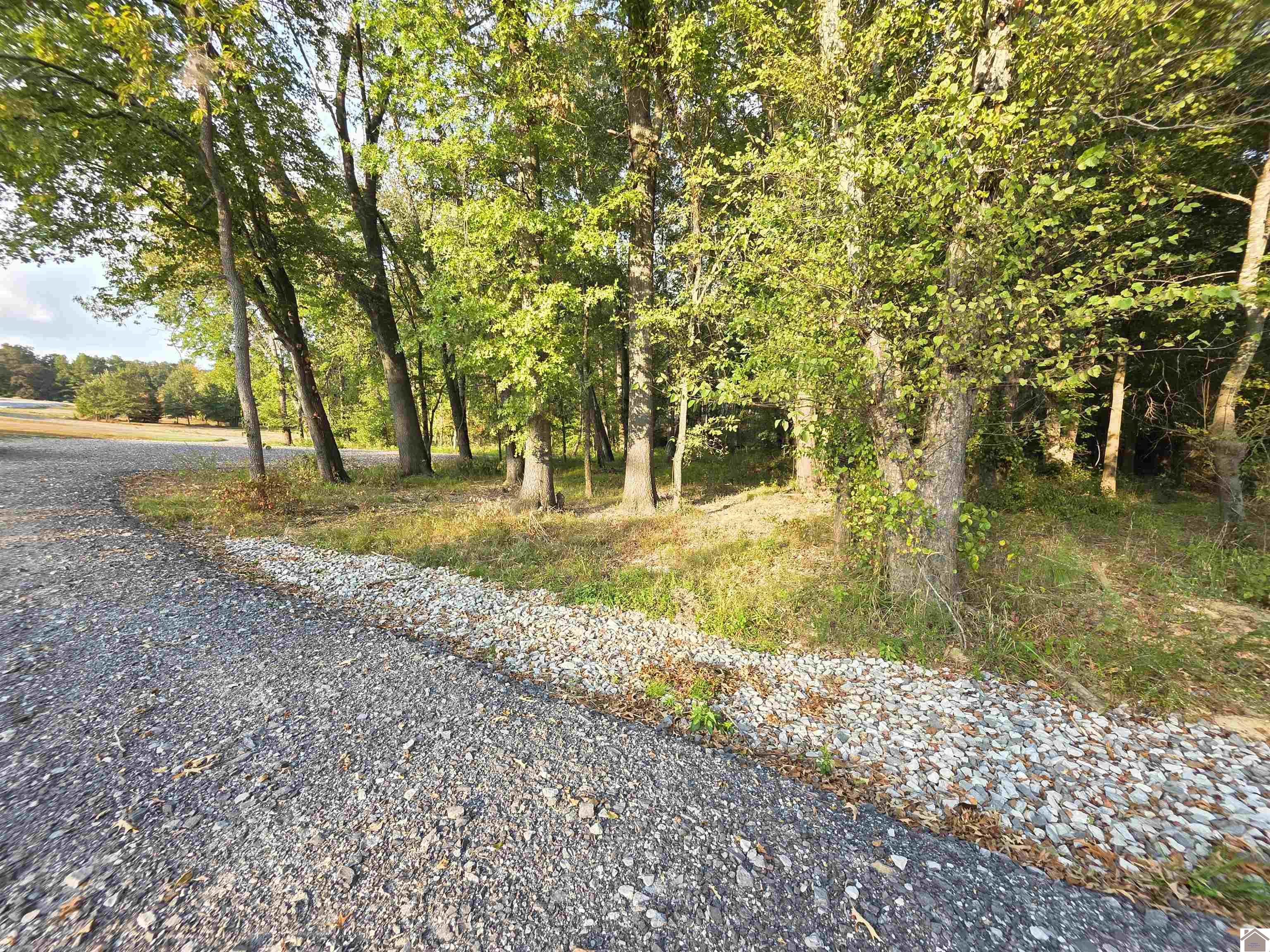 80 Oak Tree Lane Property Photo 12