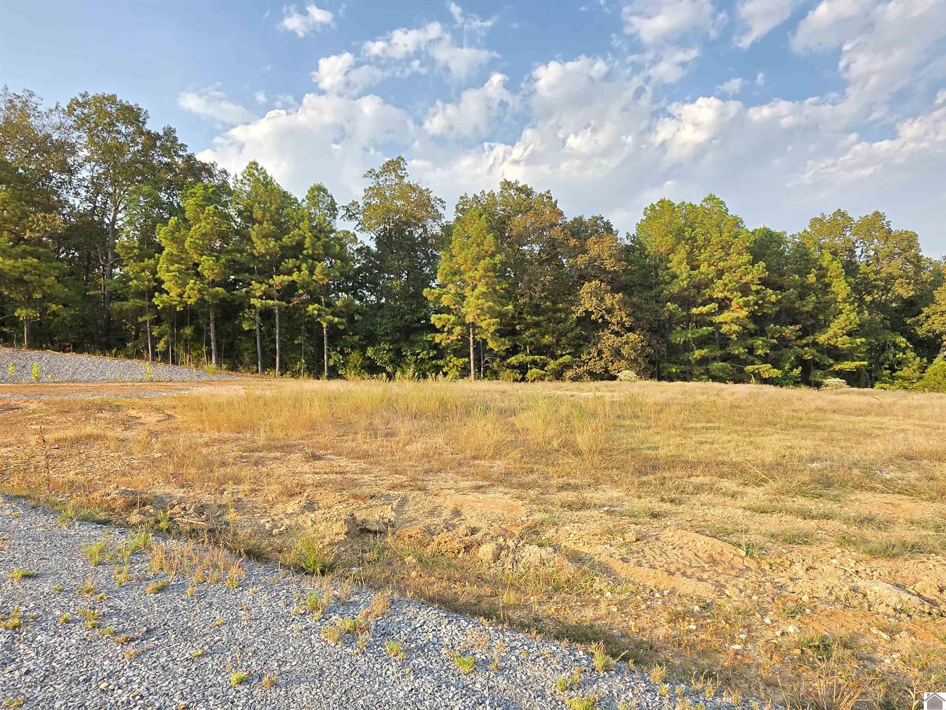 80 Oak Tree Lane Property Photo 17
