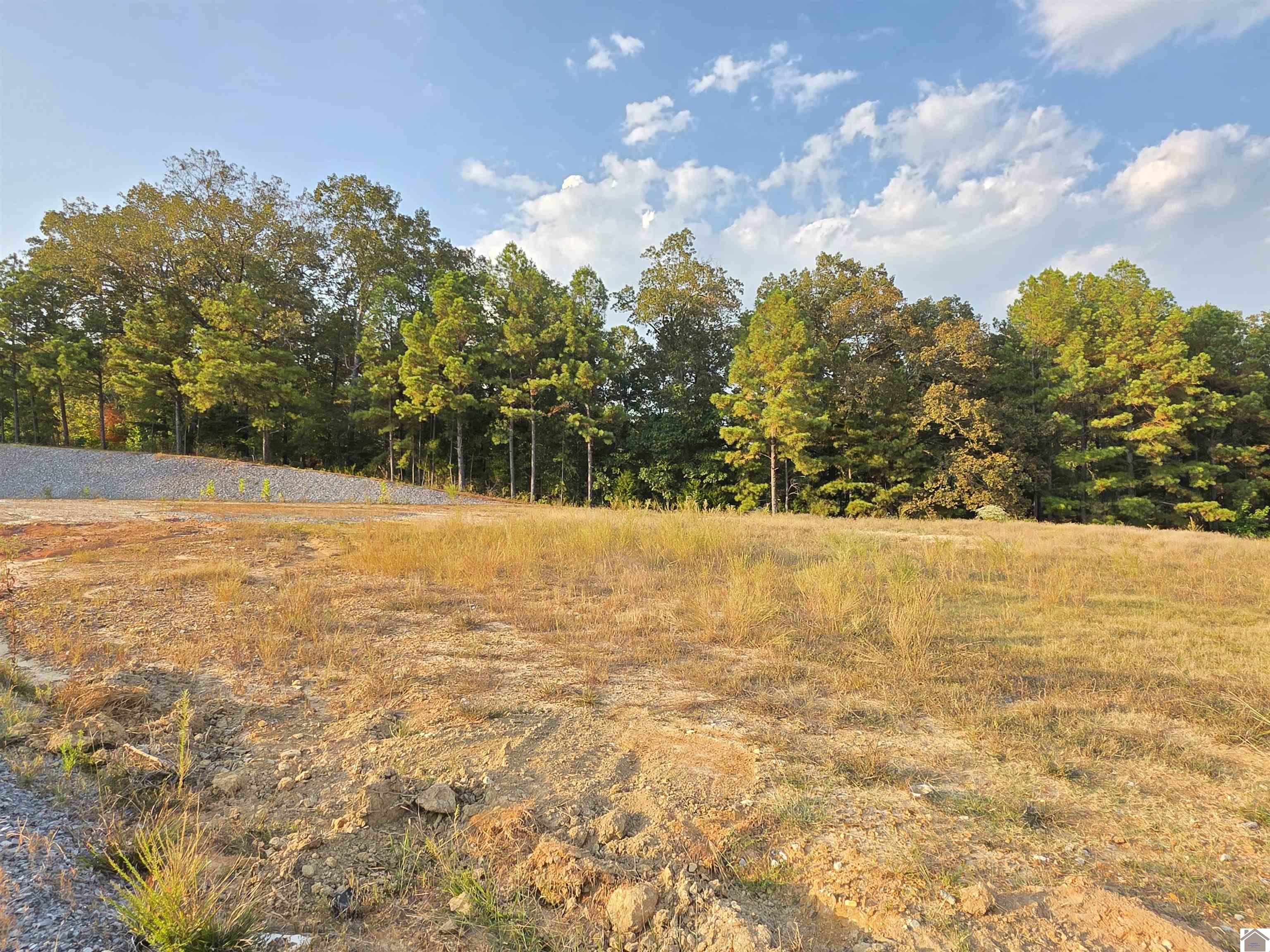 80 Oak Tree Lane Property Photo 19