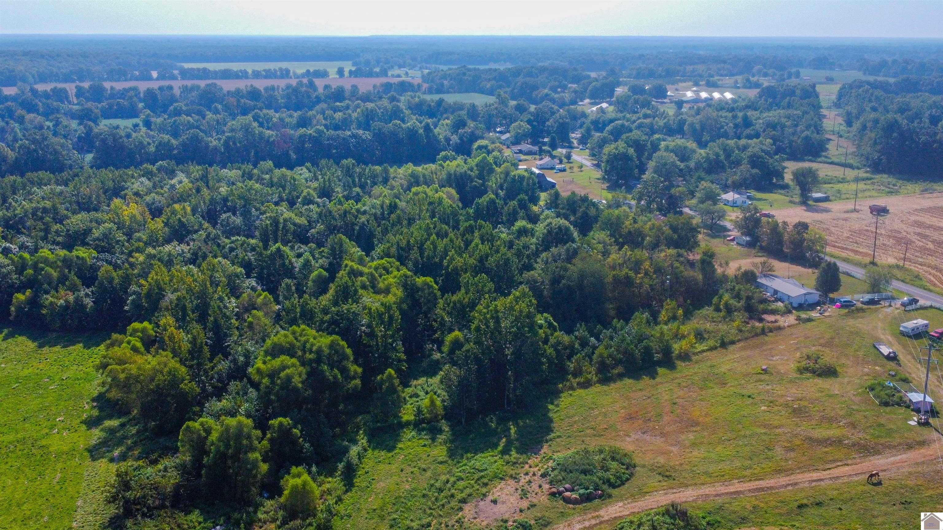 3455 Hardmoney Property Photo 31