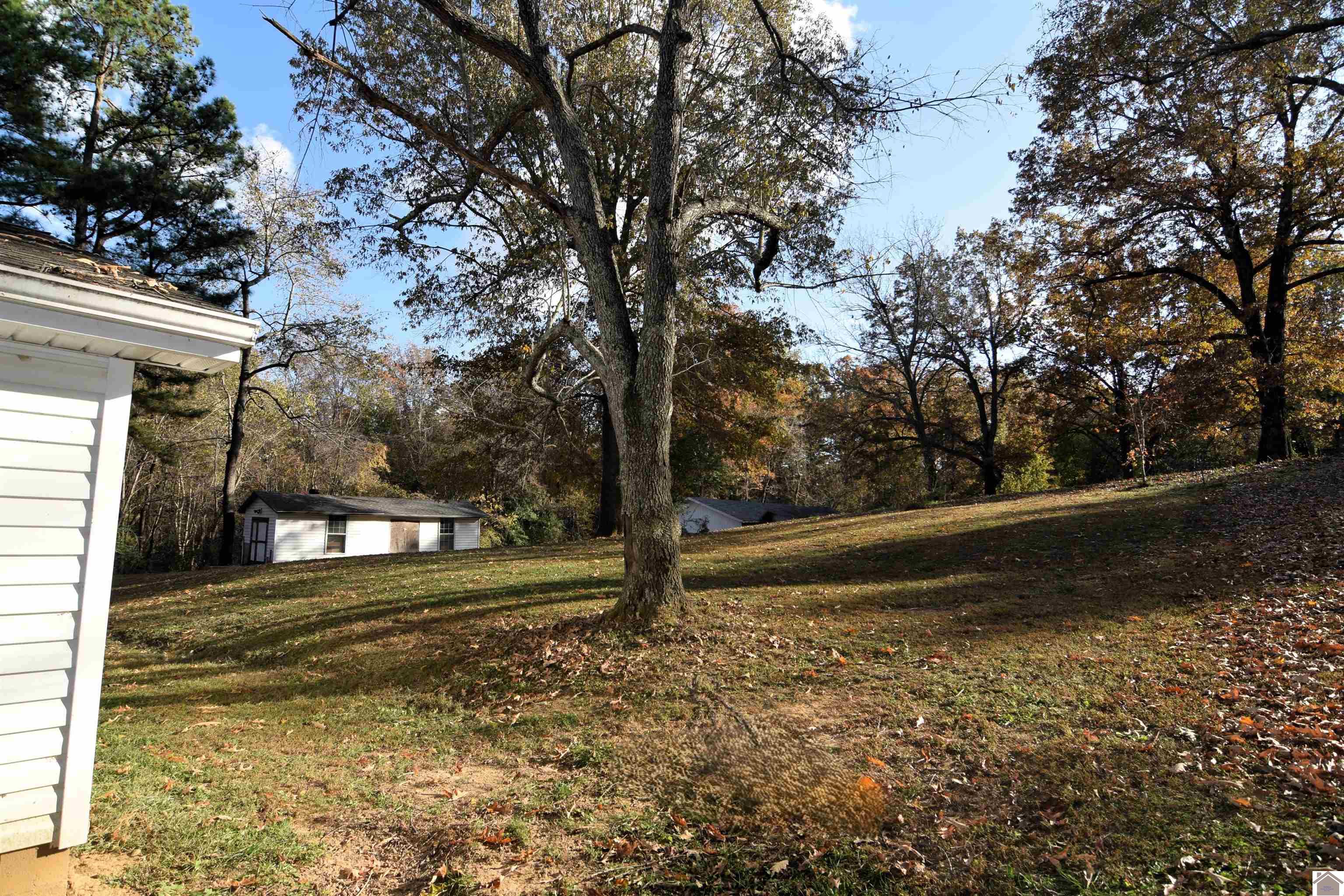 498 Impala Road Property Photo 28