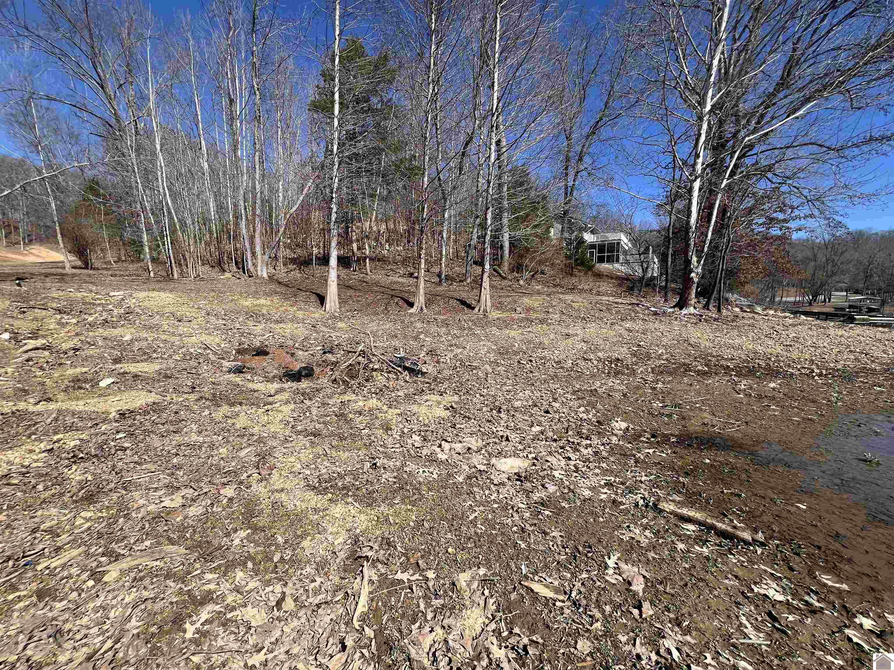 Tract 2 Oak Ridge Road Property Photo 7
