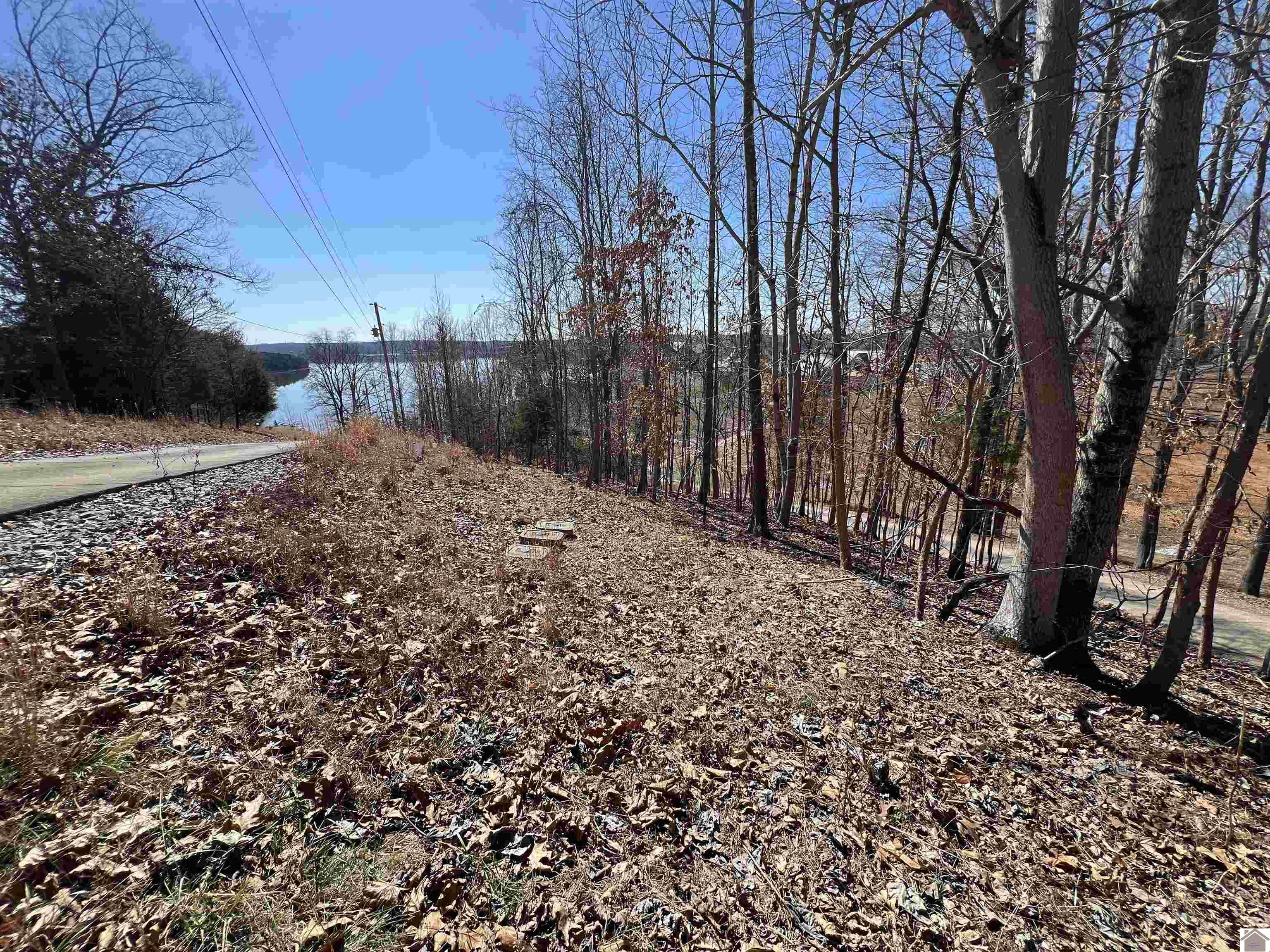 Tract 2 Oak Ridge Road Property Photo 12