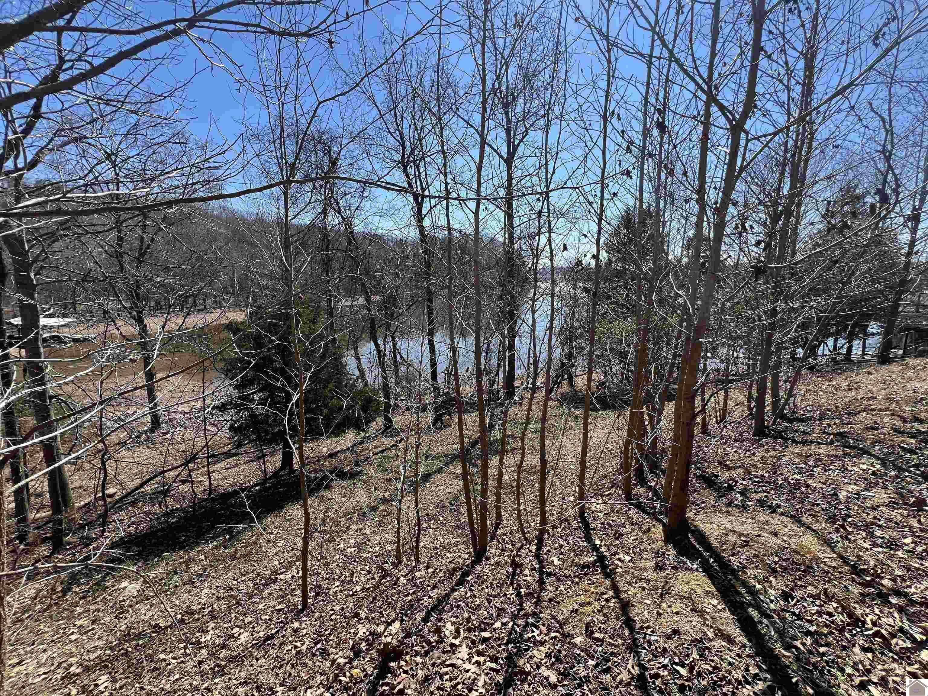 Tract 4 Oak Ridge Road Property Photo 1