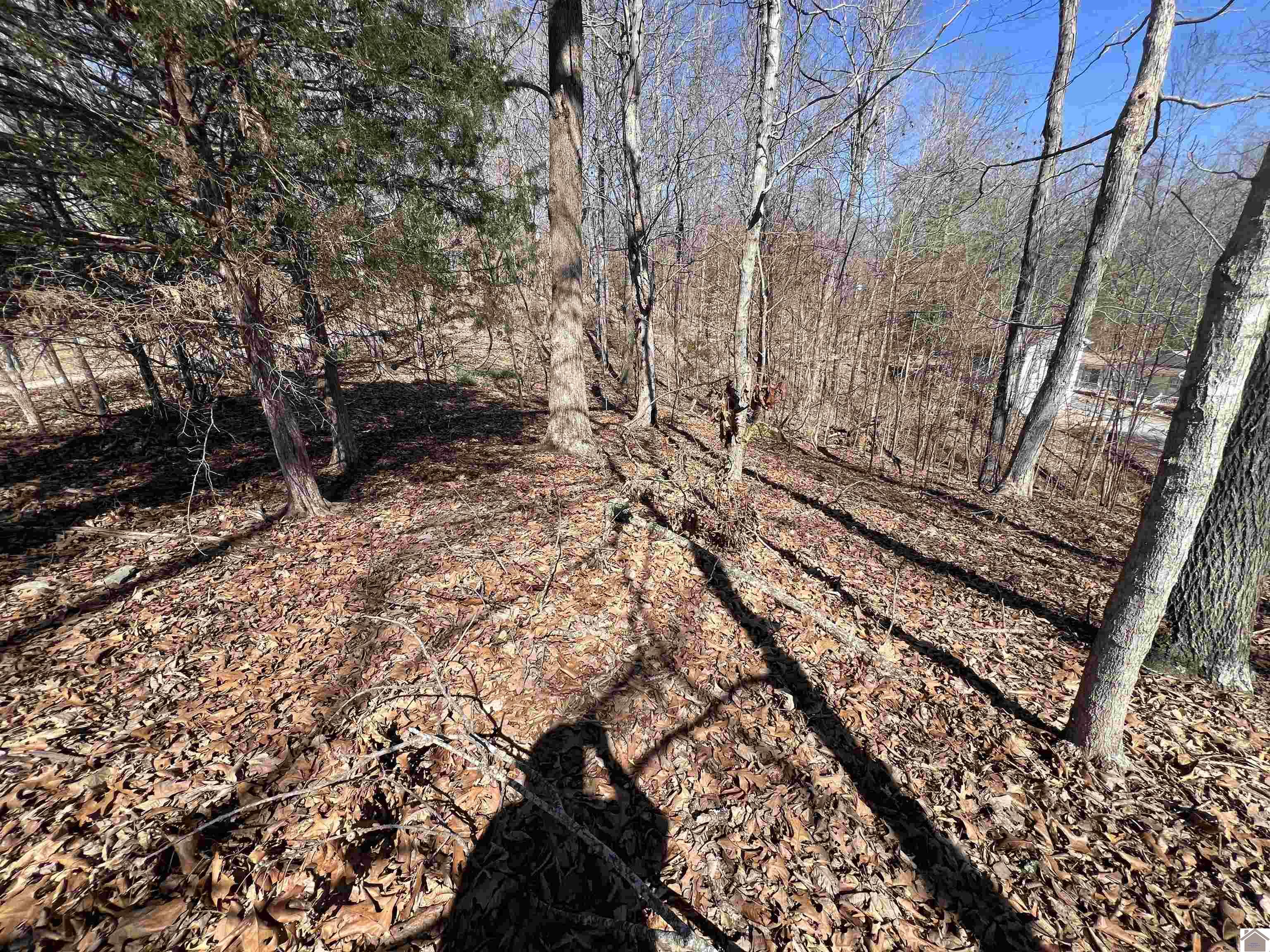 Tract 4 Oak Ridge Road Property Photo 7