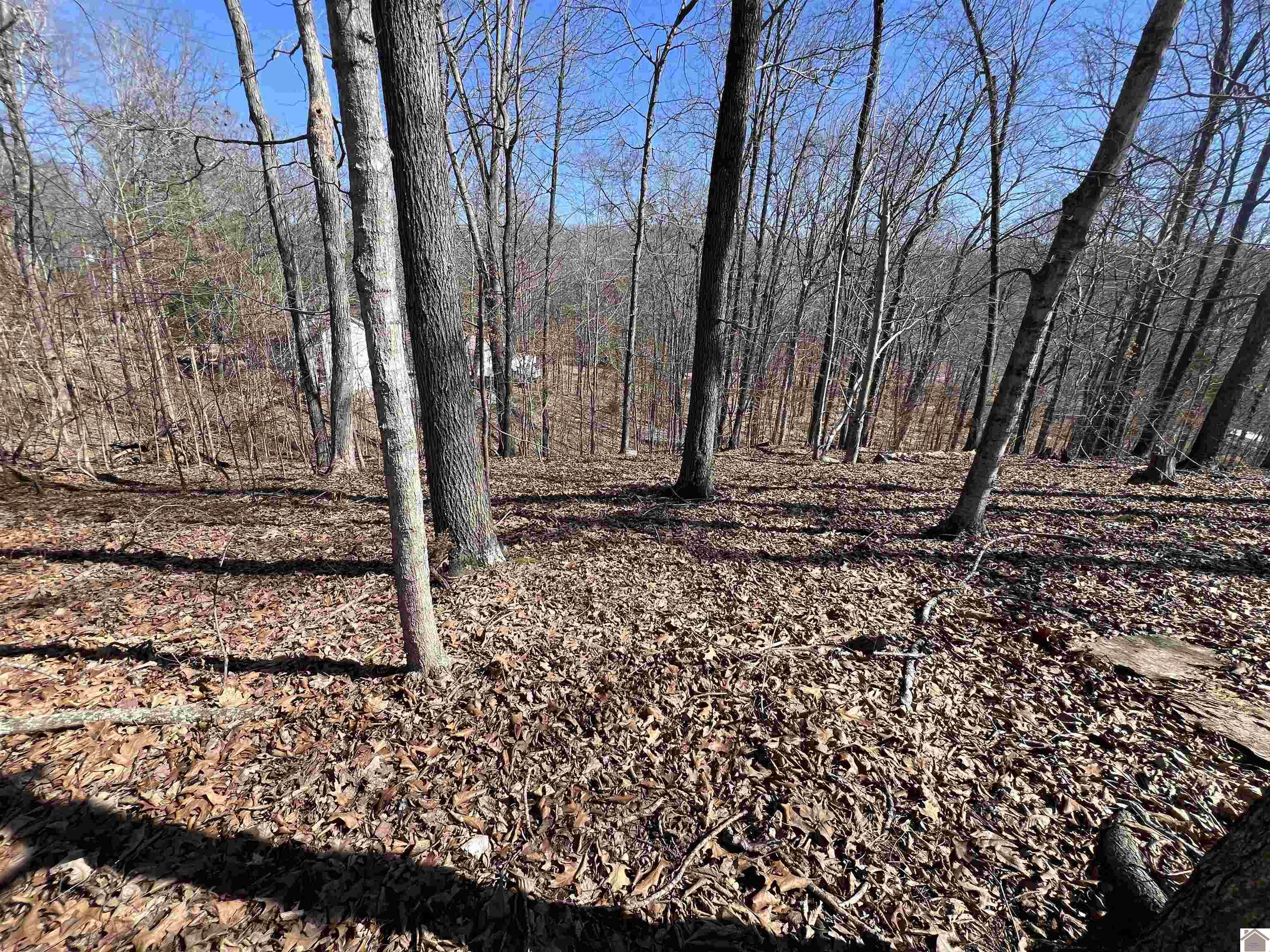 Tract 4 Oak Ridge Road Property Photo 8