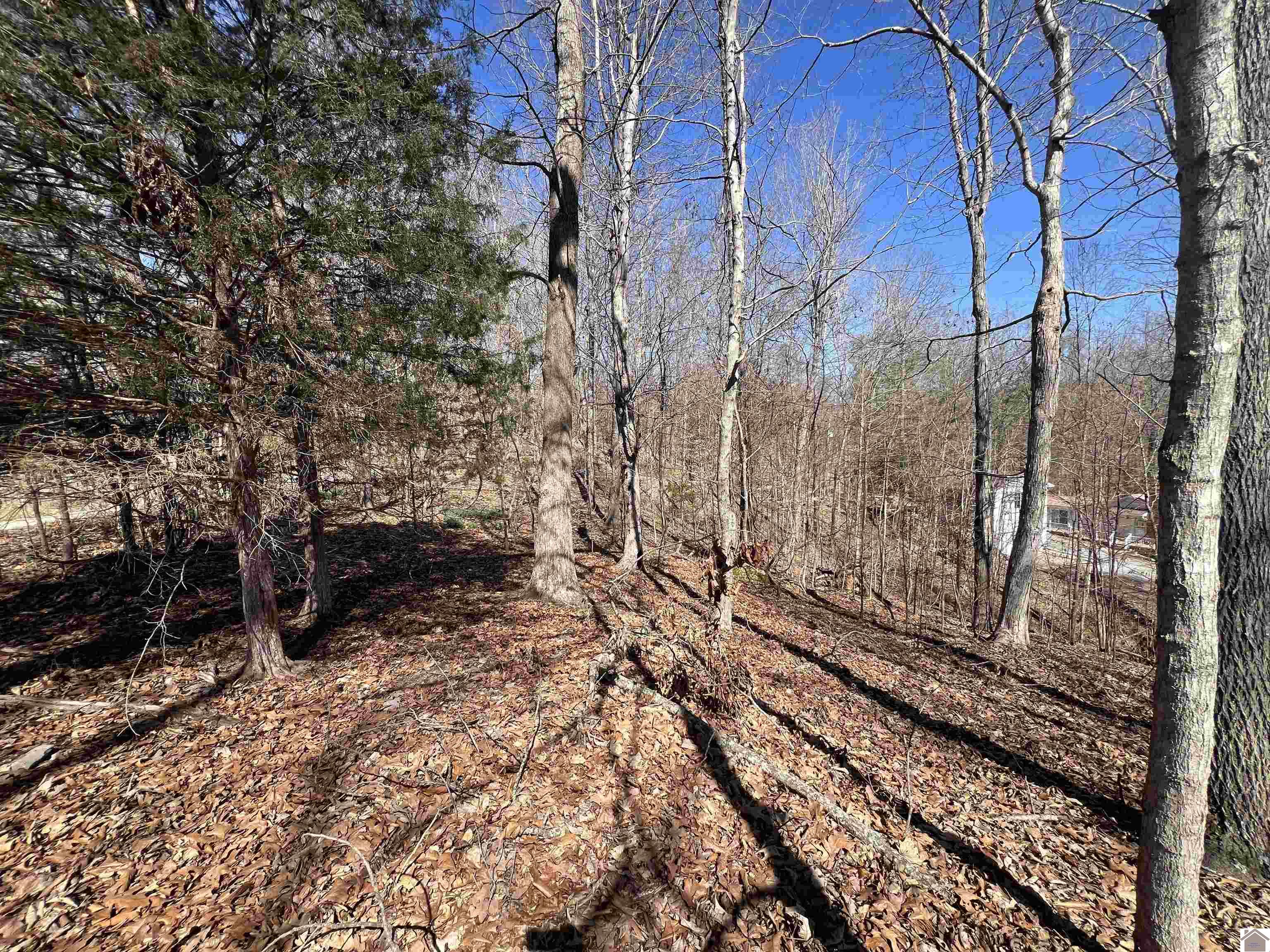 Tract 4 Oak Ridge Road Property Photo 10
