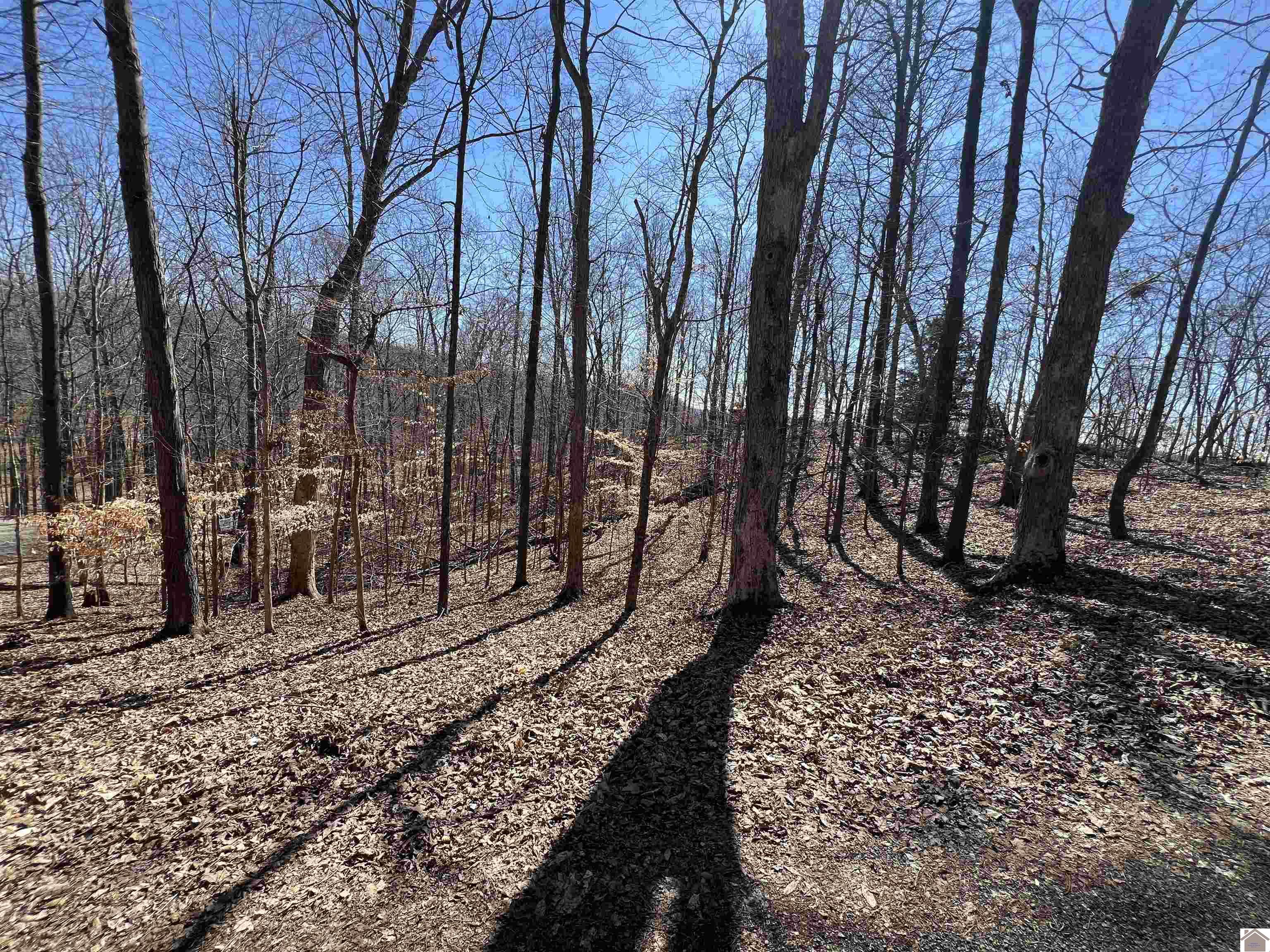 Tract 4 Oak Ridge Road Property Photo 11