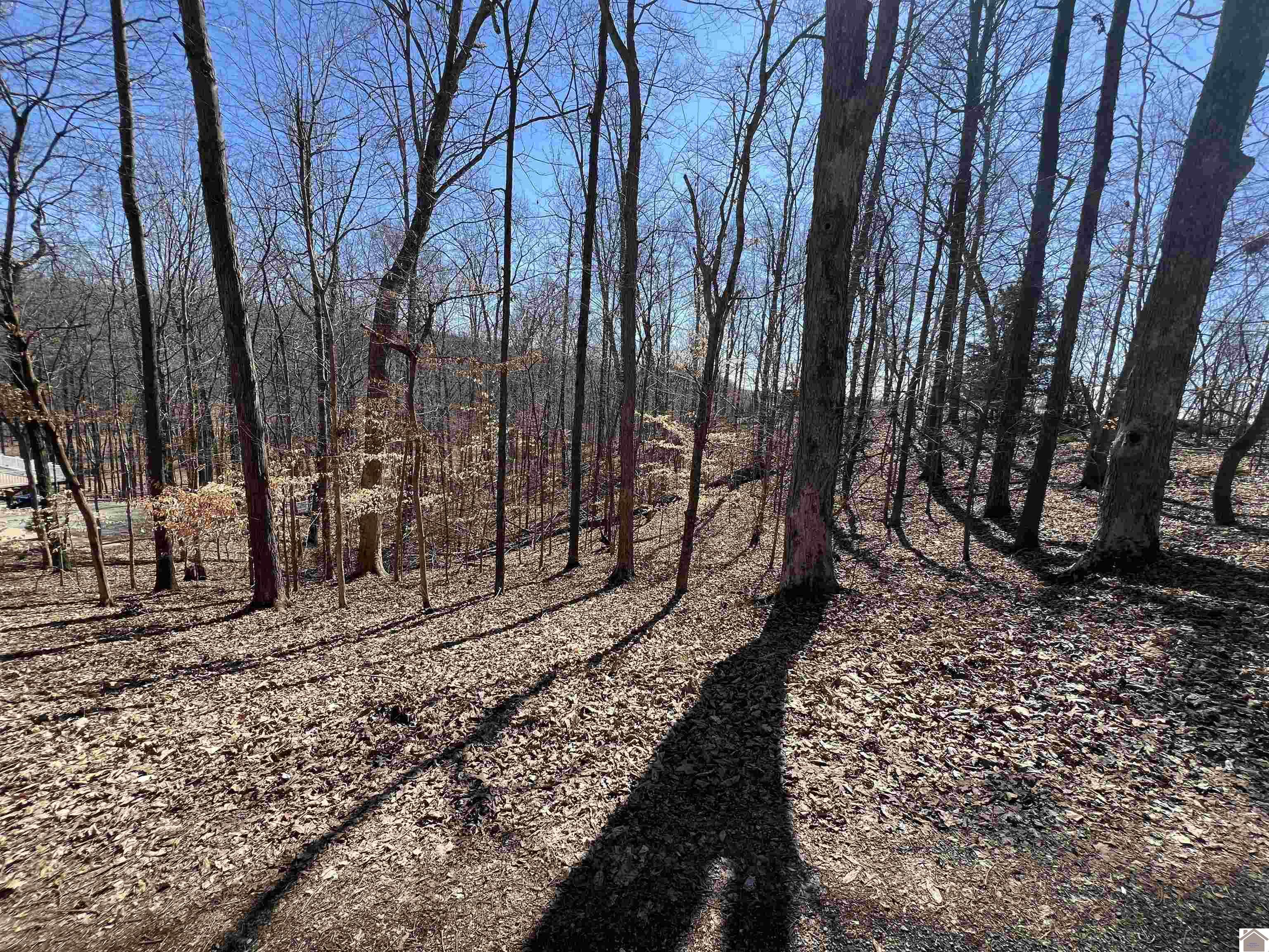 Tract 4 Oak Ridge Road Property Photo 13
