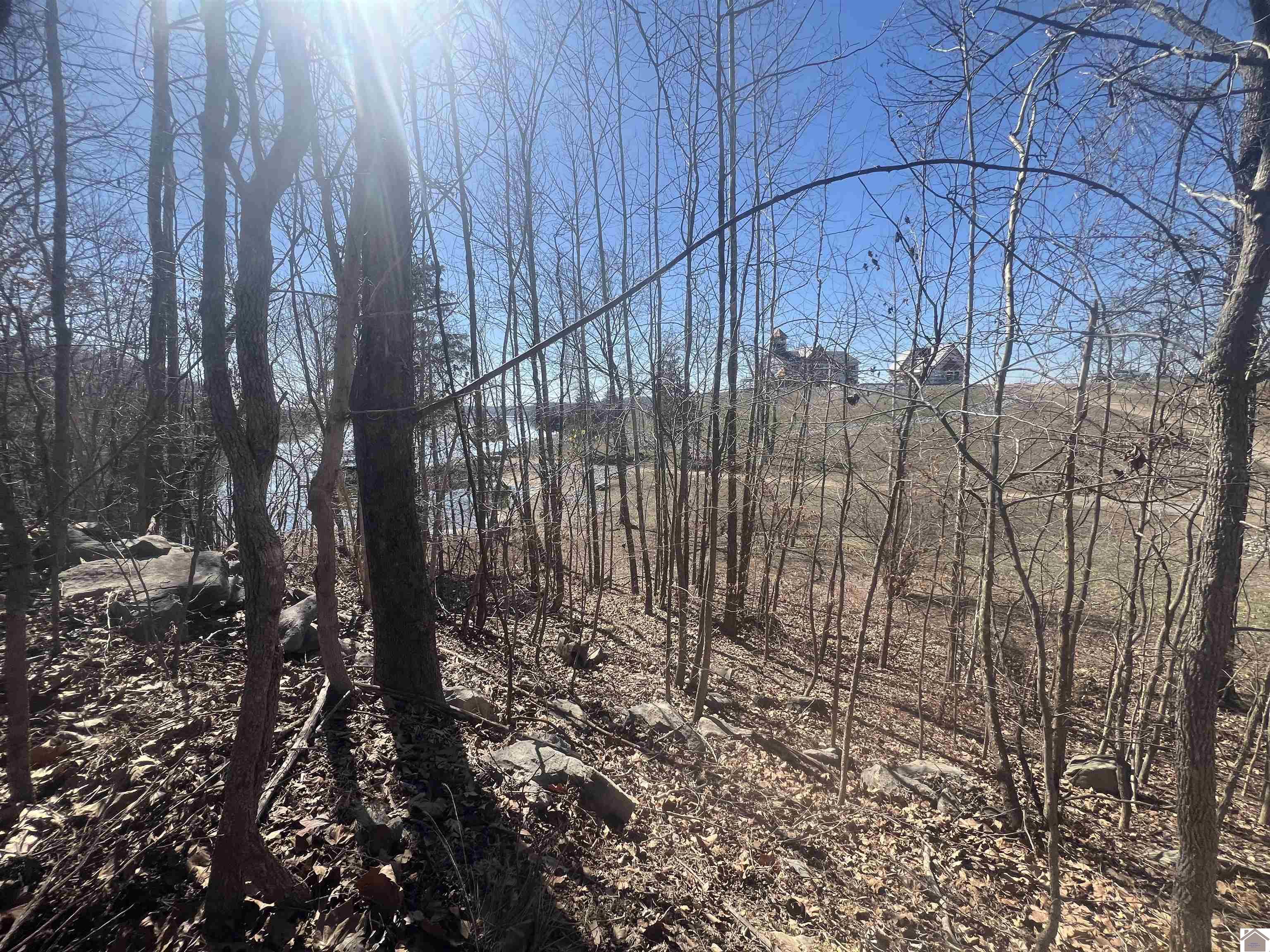 Tract 2 & 4 Oak Ridge Road Property Photo 6