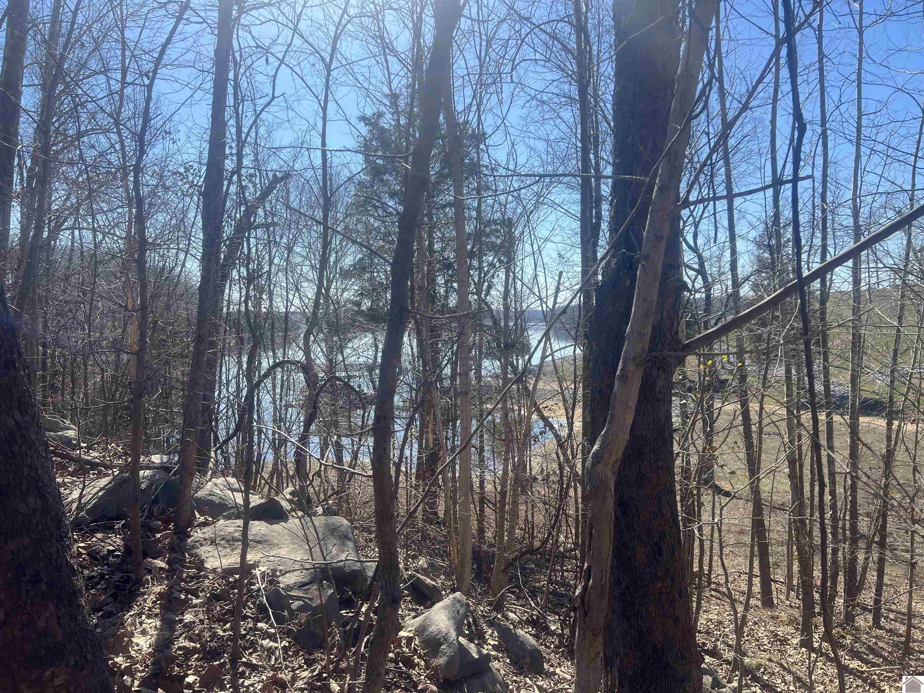 Tract 2 & 4 Oak Ridge Road Property Photo 7
