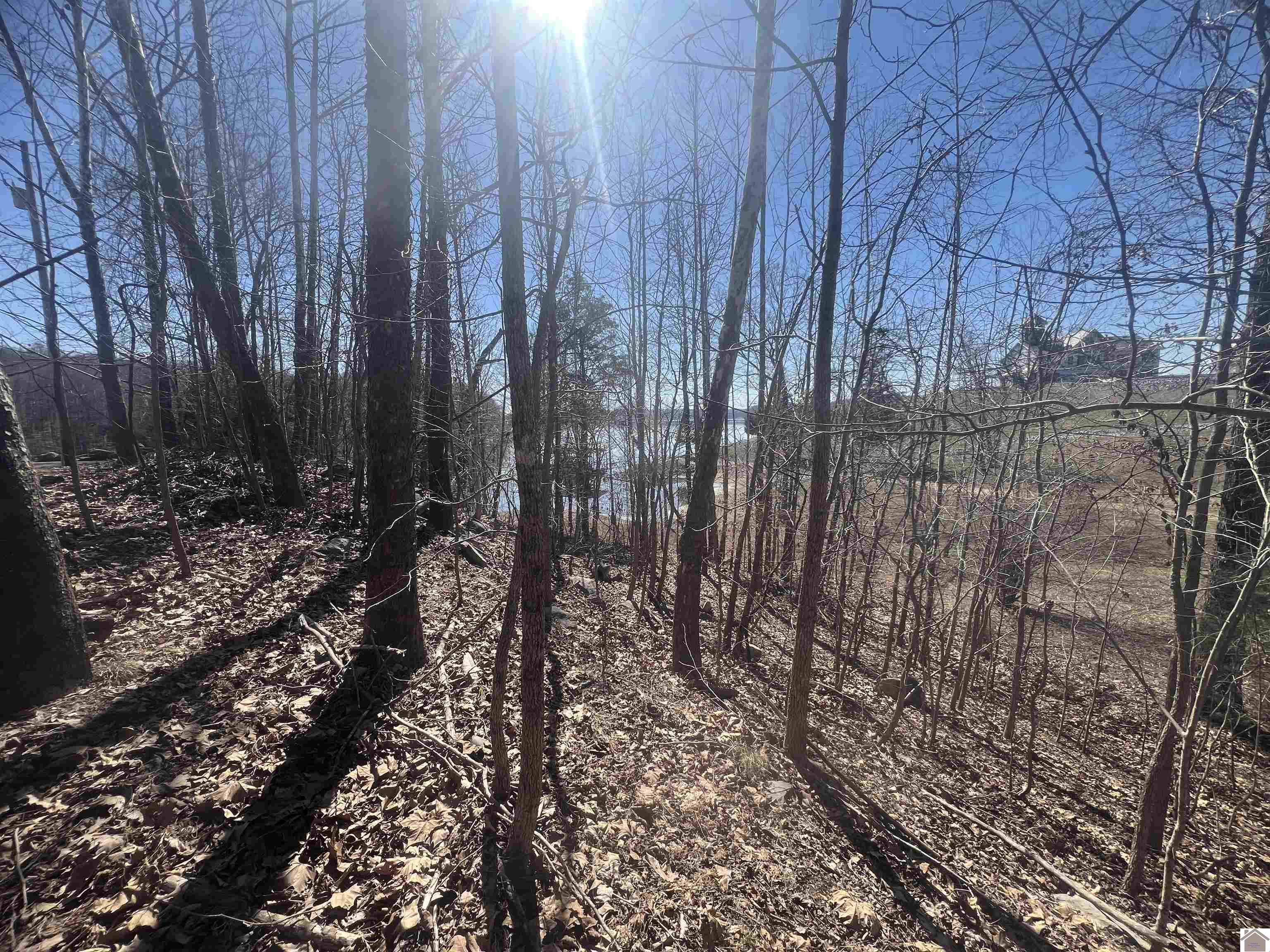 Tract 2 & 4 Oak Ridge Road Property Photo 8