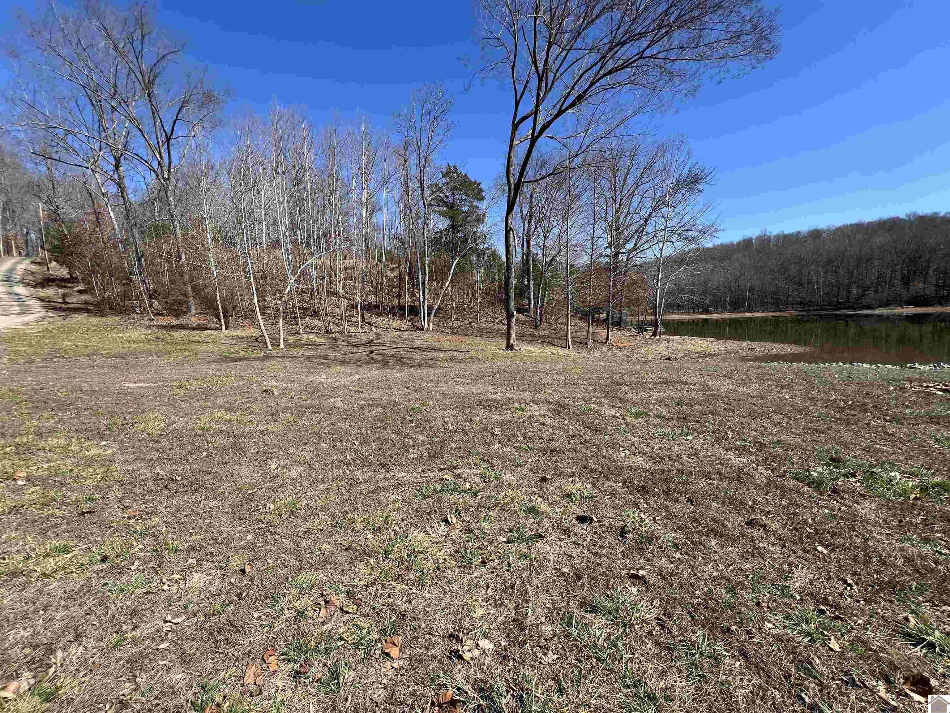 Tract 2 & 4 Oak Ridge Road Property Photo 11