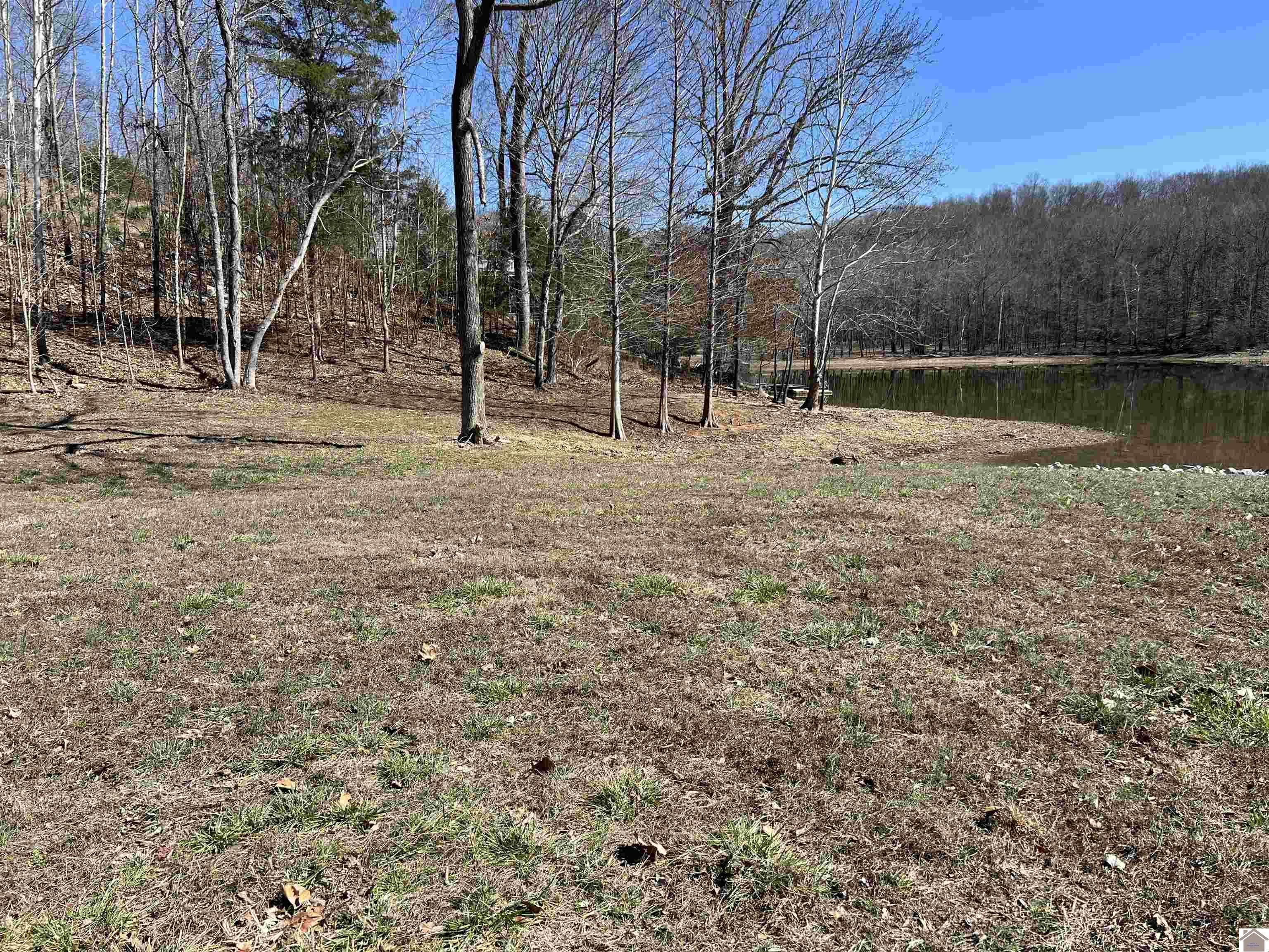 Tract 2 & 4 Oak Ridge Road Property Photo 12