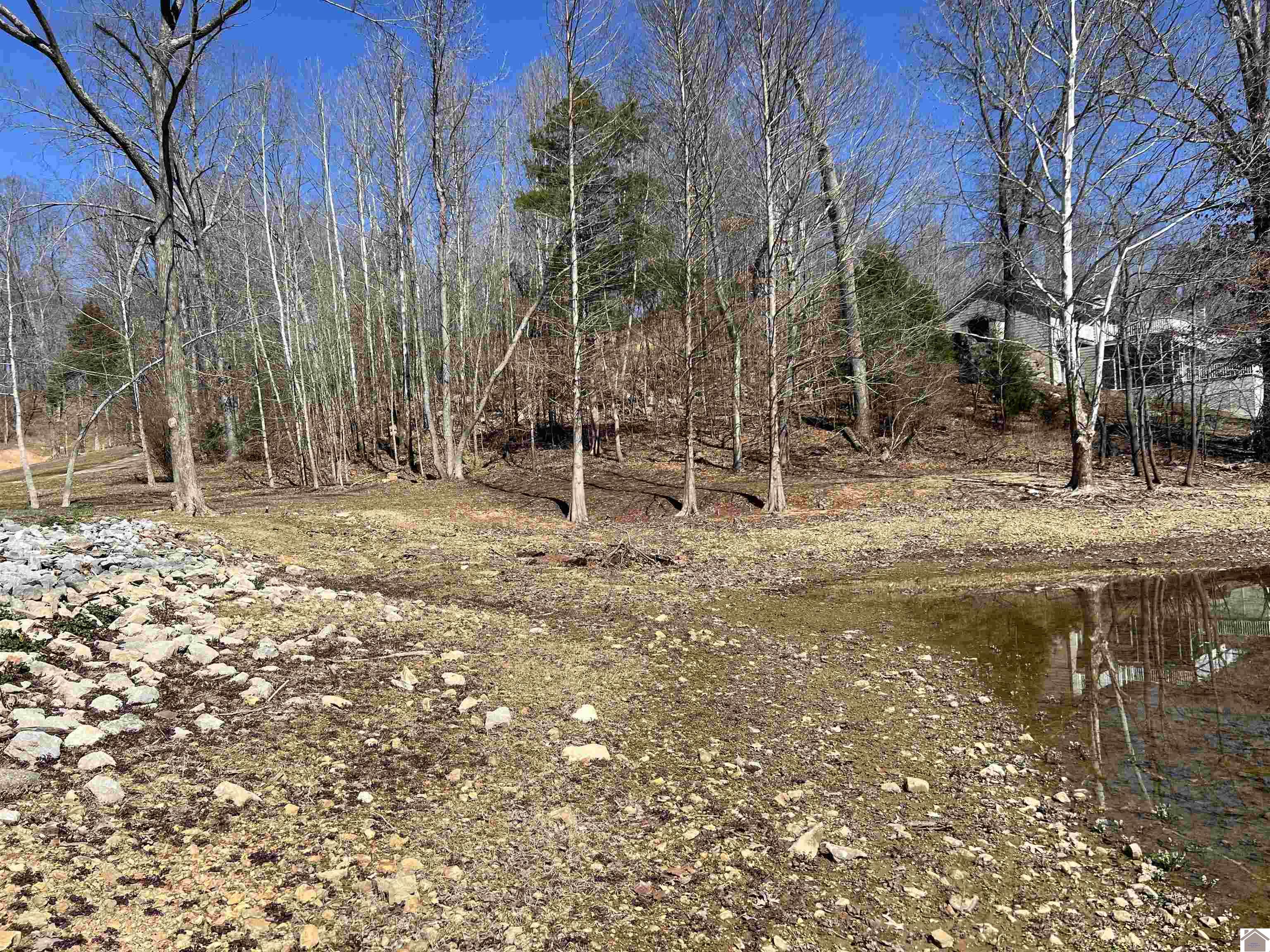Tract 2 & 4 Oak Ridge Road Property Photo 16