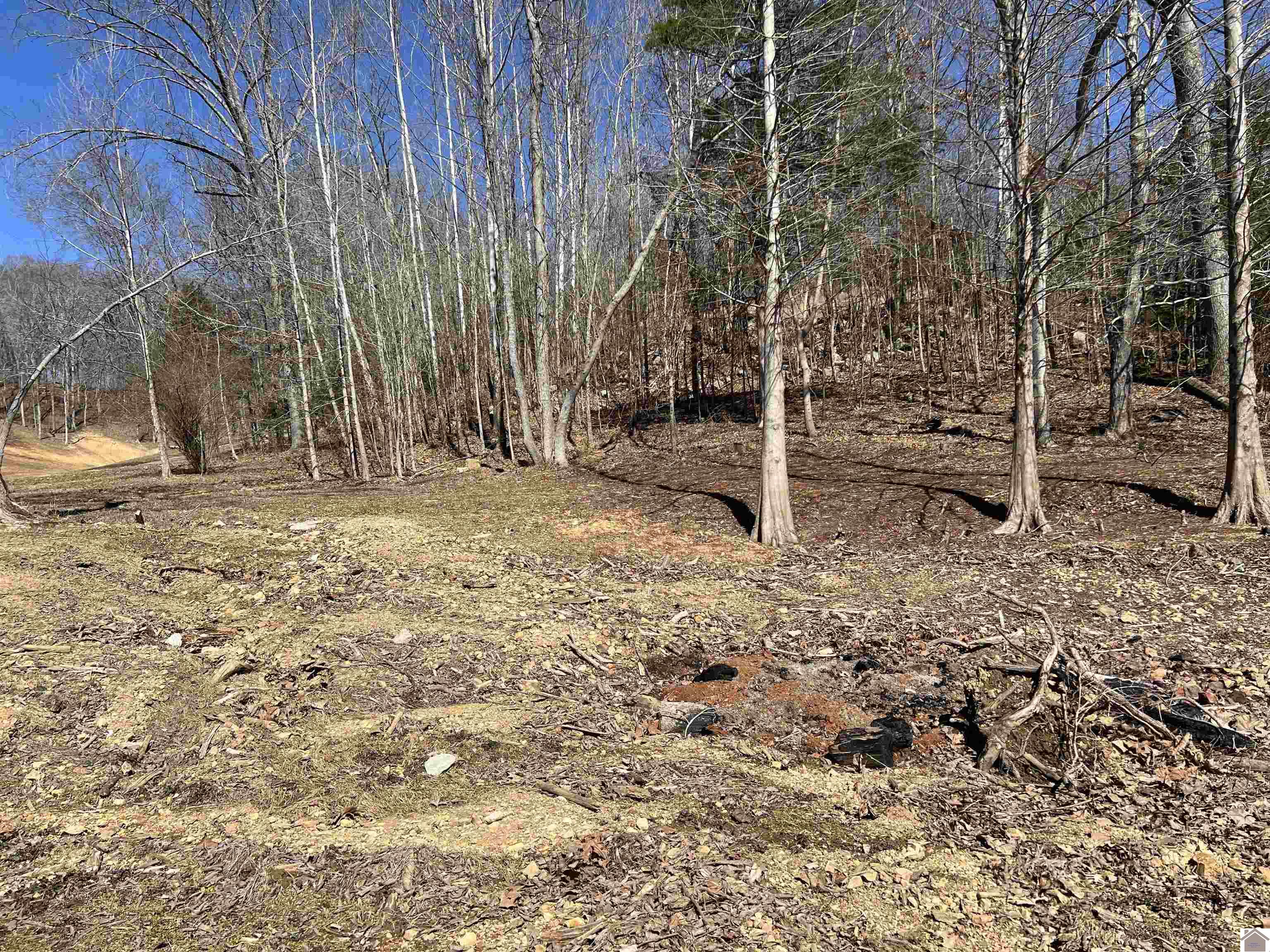 Tract 2 & 4 Oak Ridge Road Property Photo 17