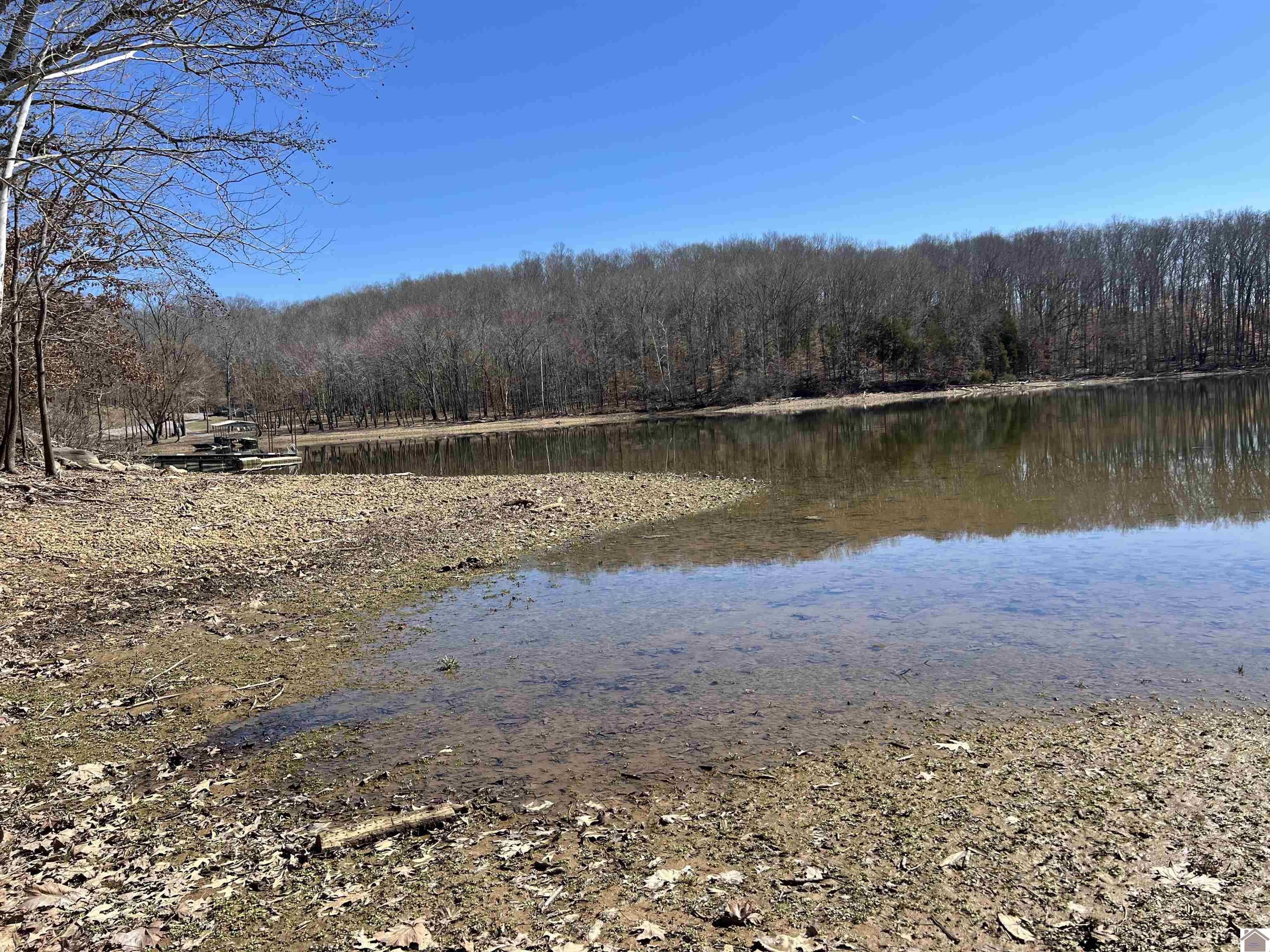 Tract 2 & 4 Oak Ridge Road Property Photo 19