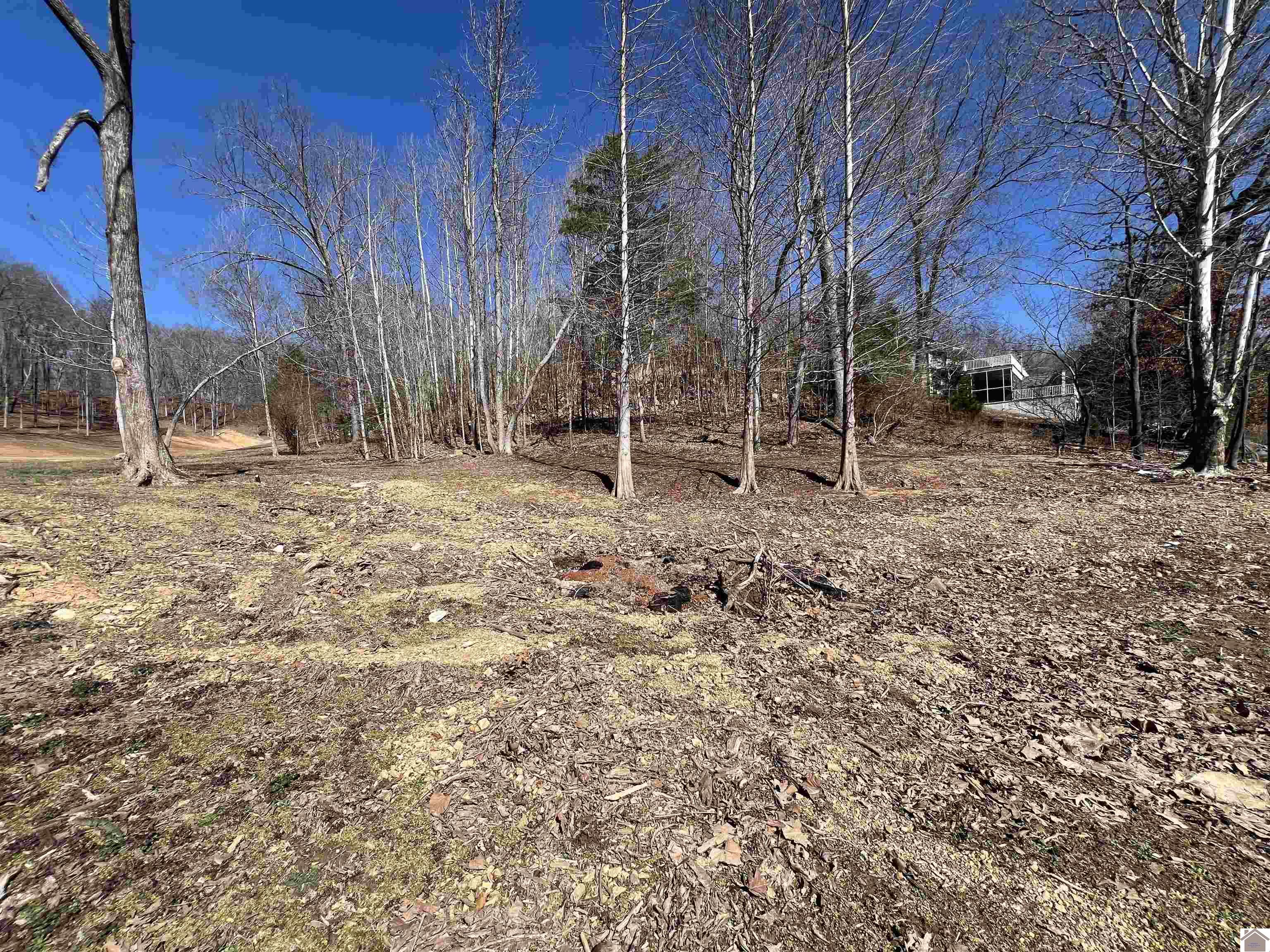 Tract 2 & 4 Oak Ridge Road Property Photo 21
