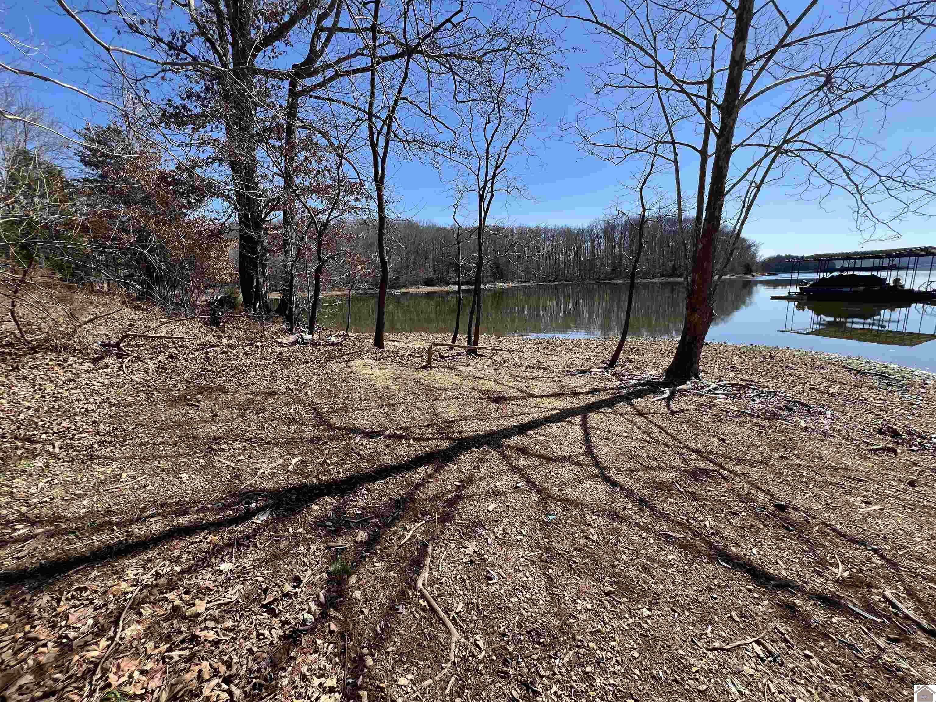 Tract 2 & 4 Oak Ridge Road Property Photo 22