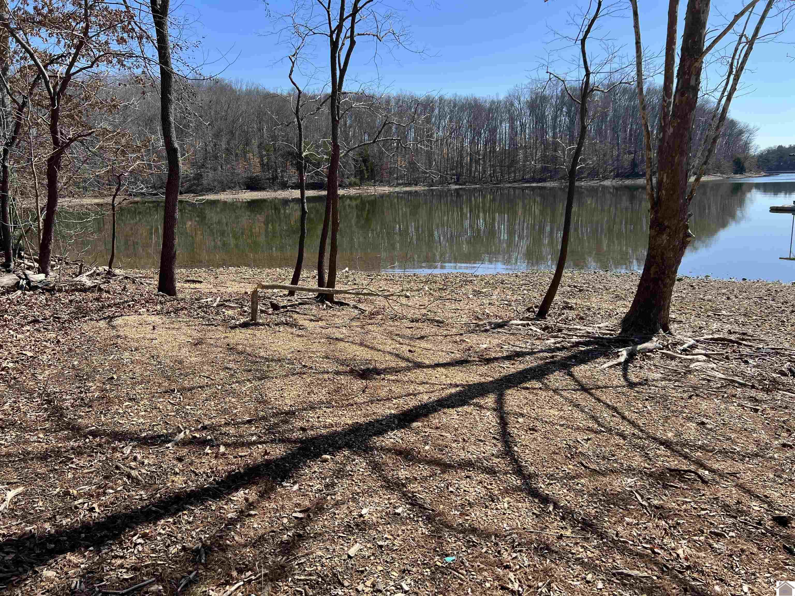 Tract 2 & 4 Oak Ridge Road Property Photo 24