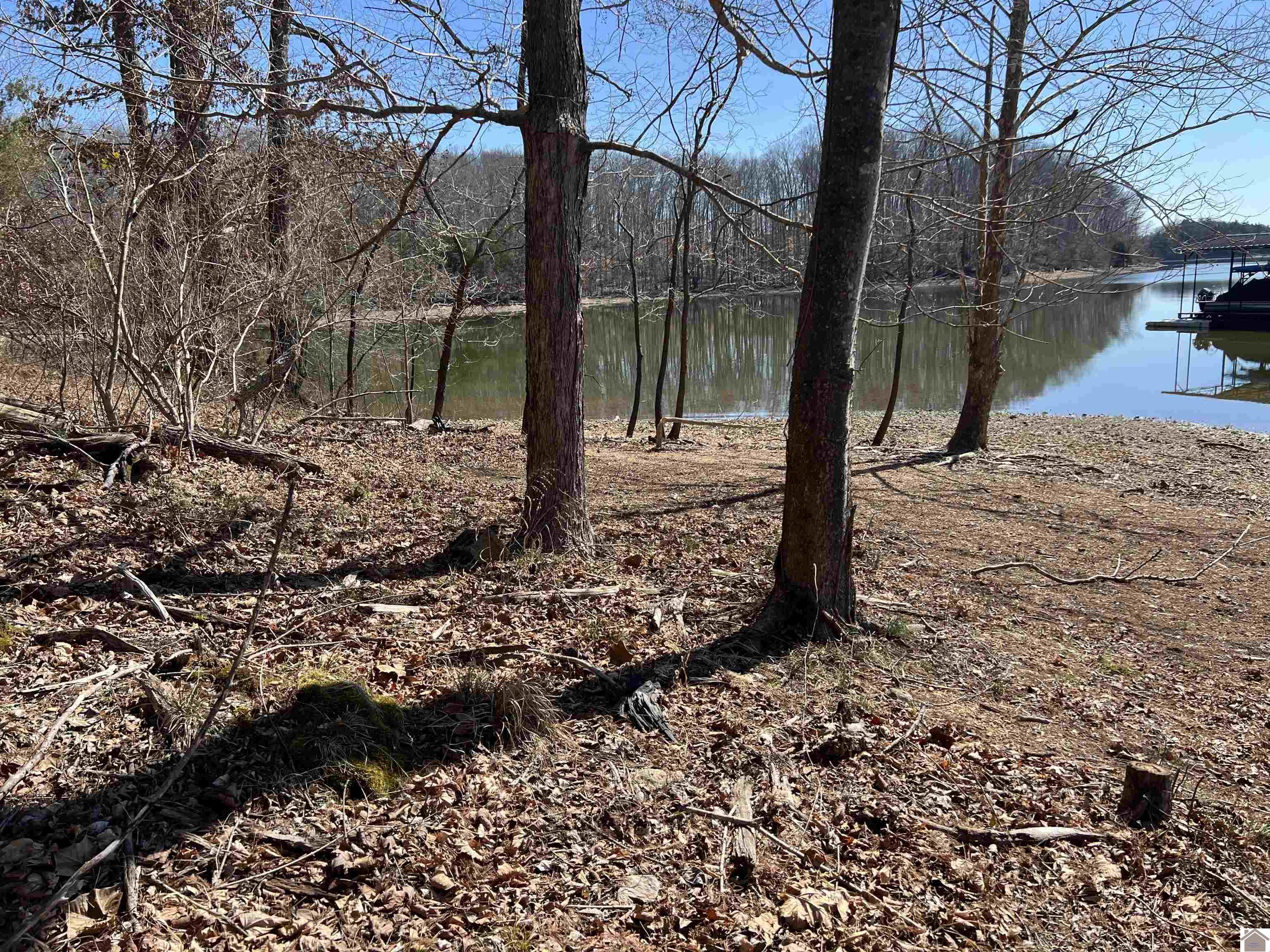 Tract 2 & 4 Oak Ridge Road Property Photo 29