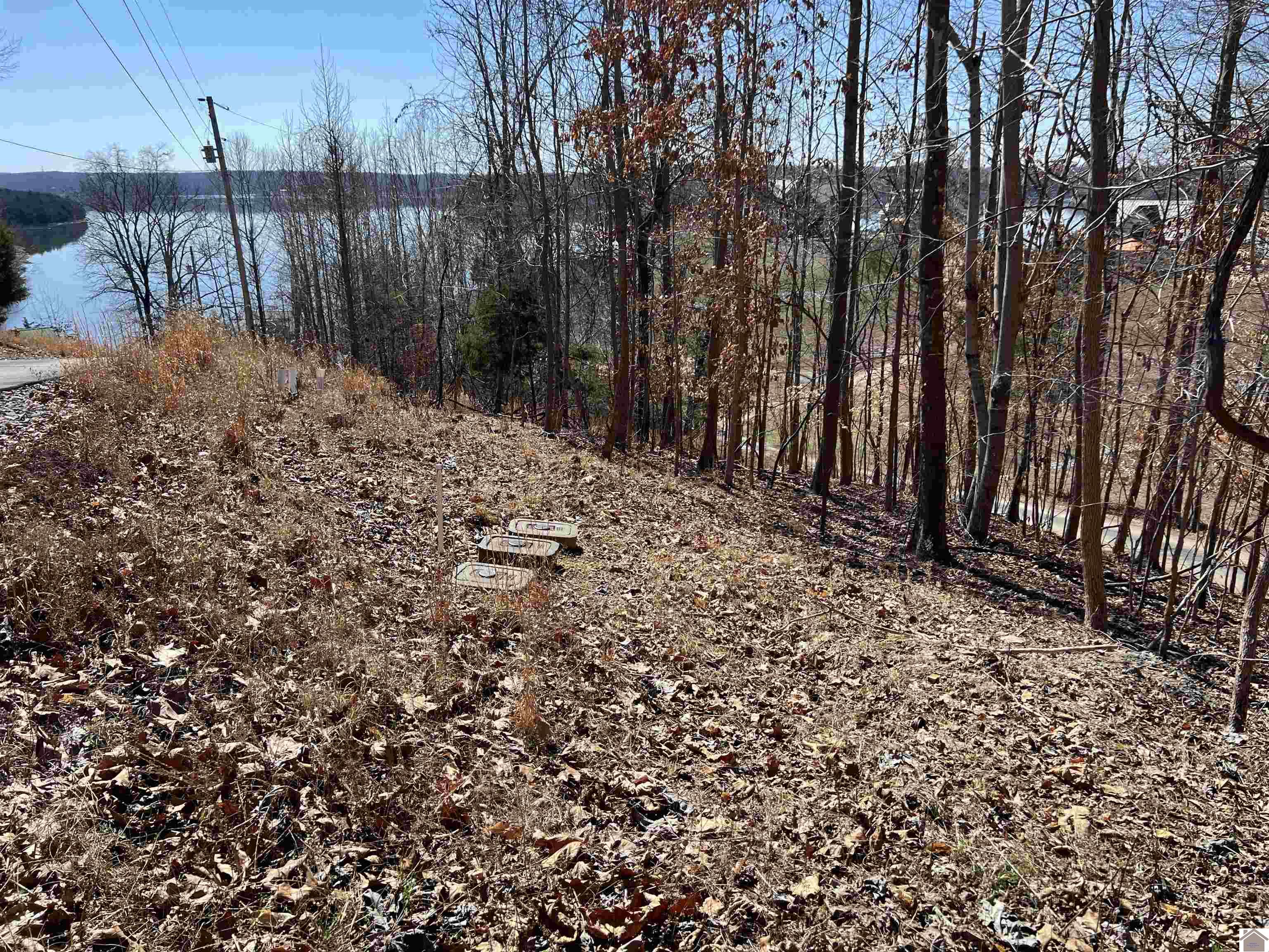 Tract 2 & 4 Oak Ridge Road Property Photo 30