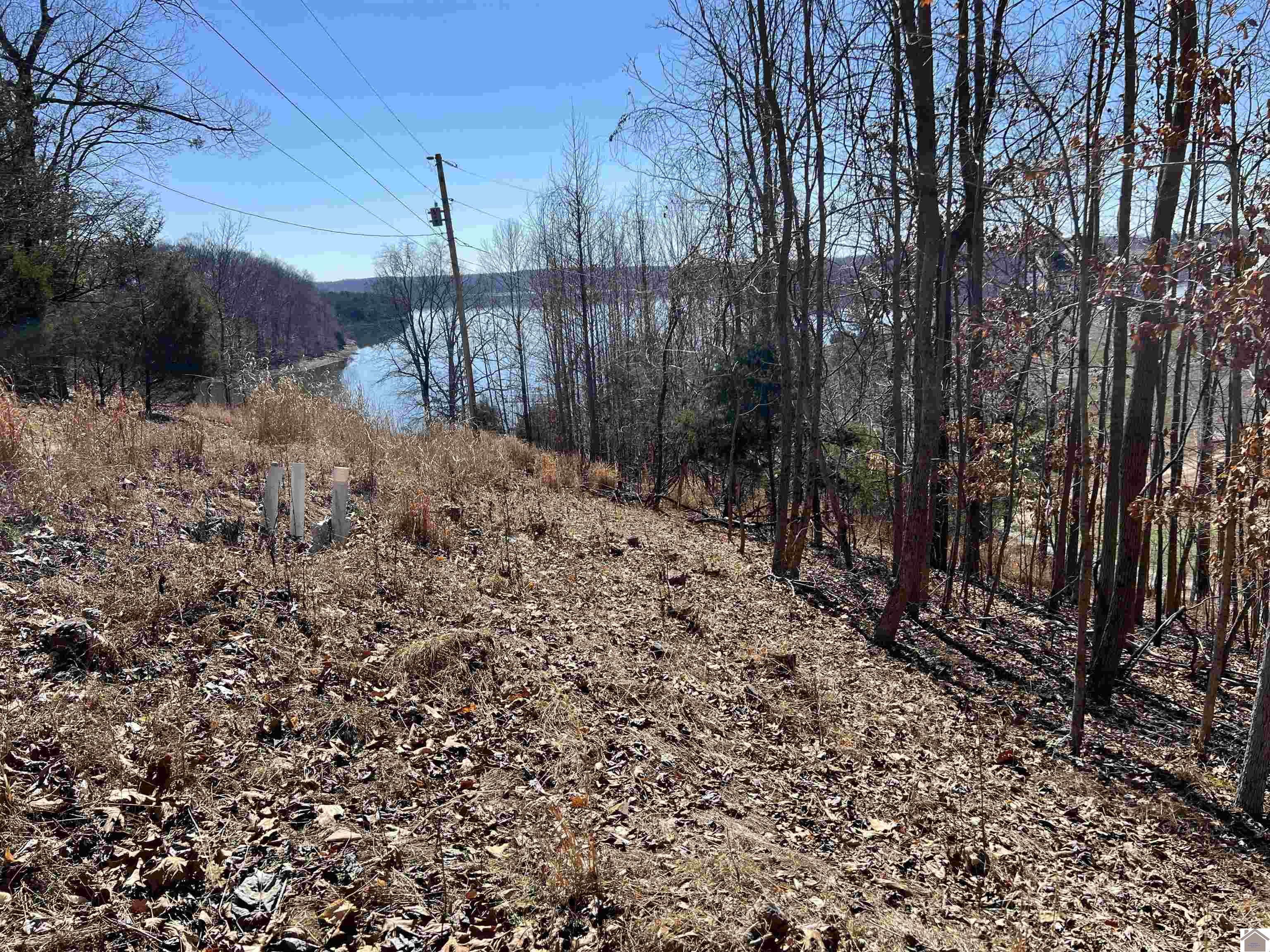 Tract 2 & 4 Oak Ridge Road Property Photo 31