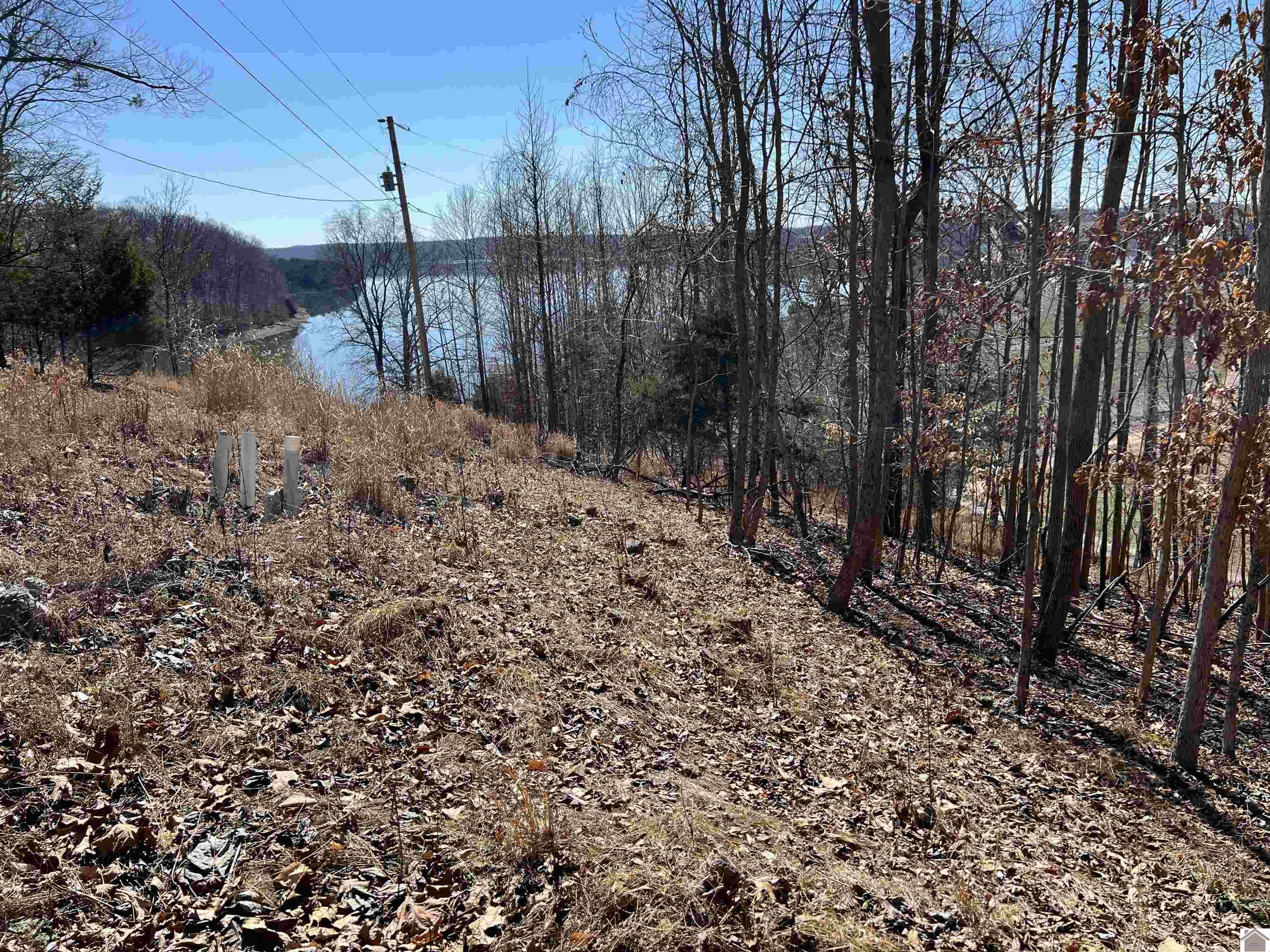 Tract 2 & 4 Oak Ridge Road Property Photo 32