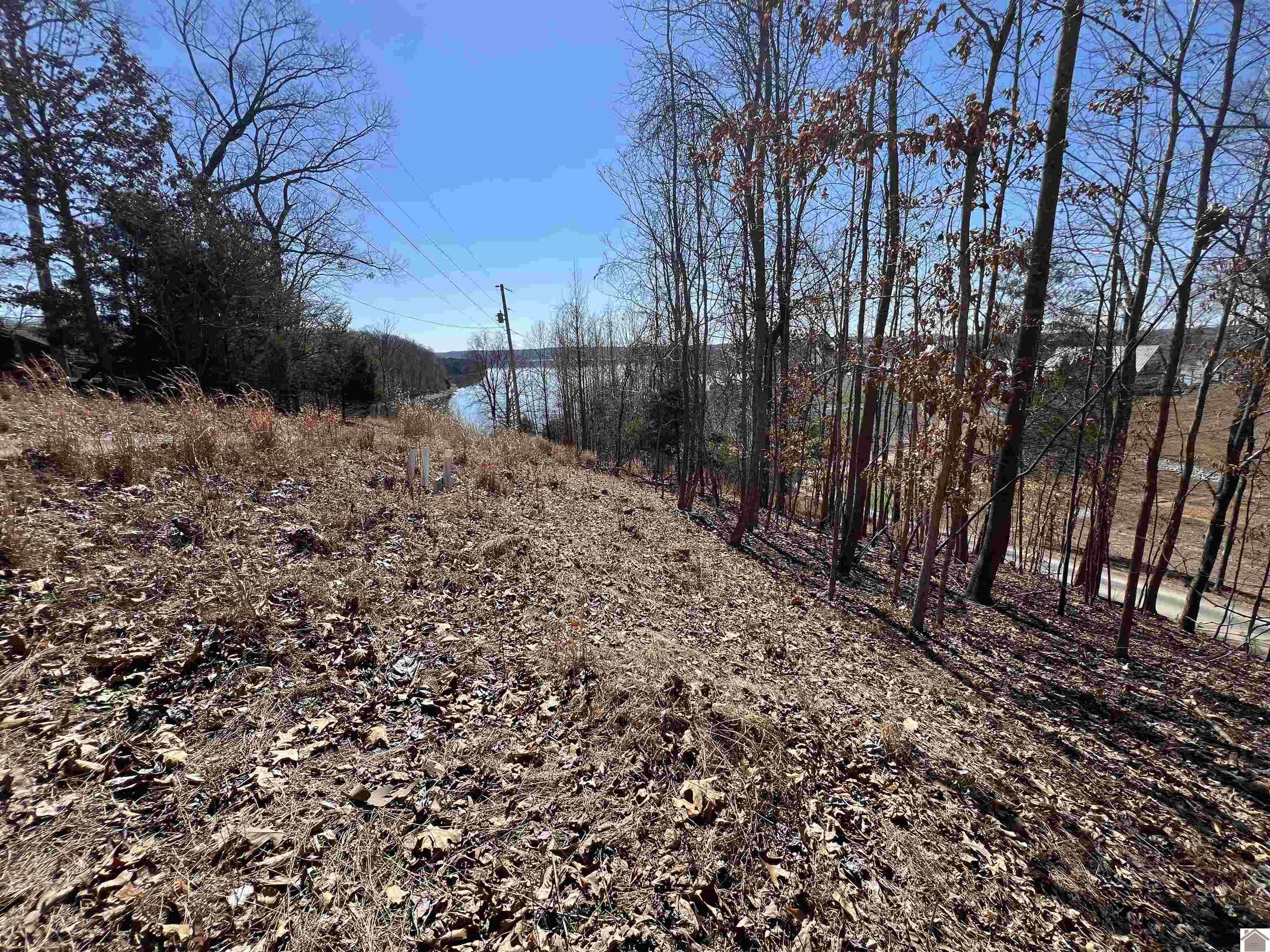 Tract 2 & 4 Oak Ridge Road Property Photo 33