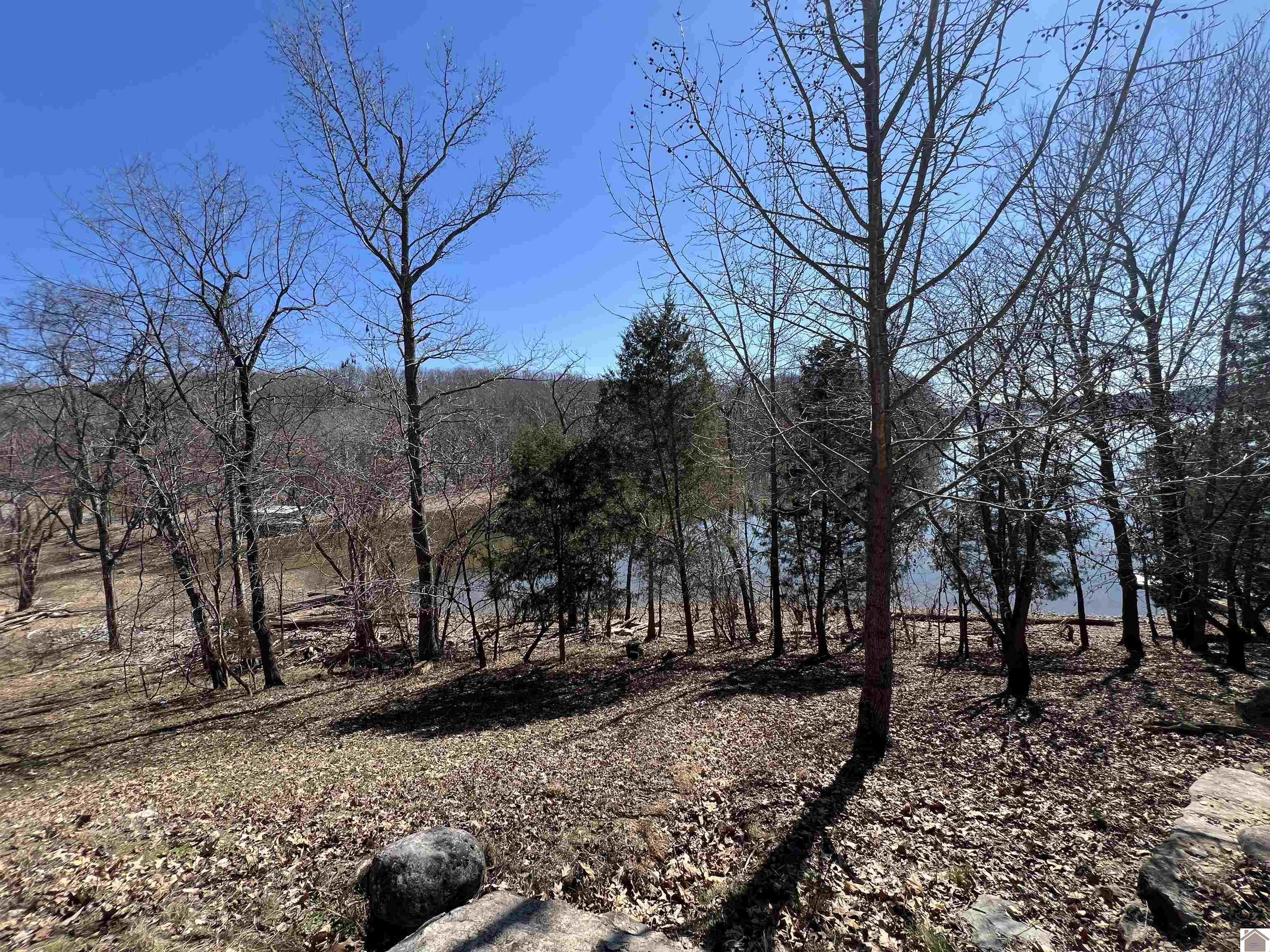 Tract 2 & 4 Oak Ridge Road Property Photo 37
