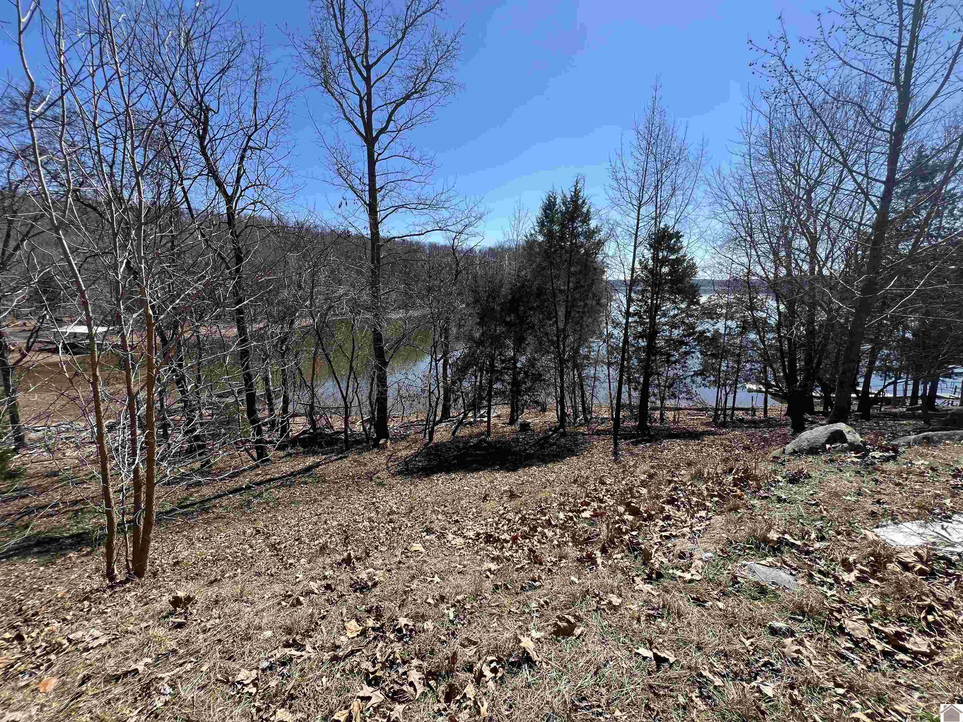 Tract 2 & 4 Oak Ridge Road Property Photo 38