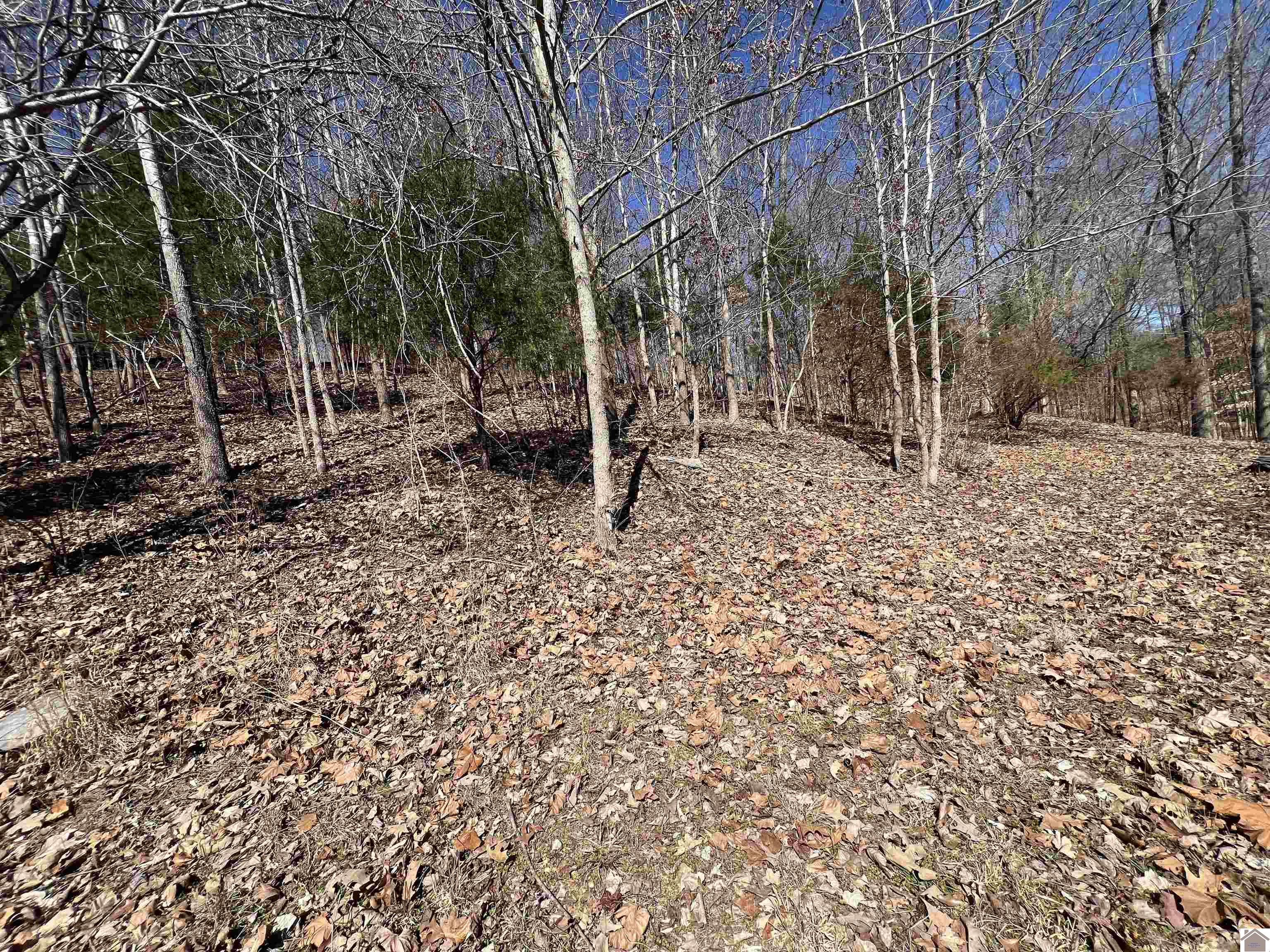 Tract 2 & 4 Oak Ridge Road Property Photo 39
