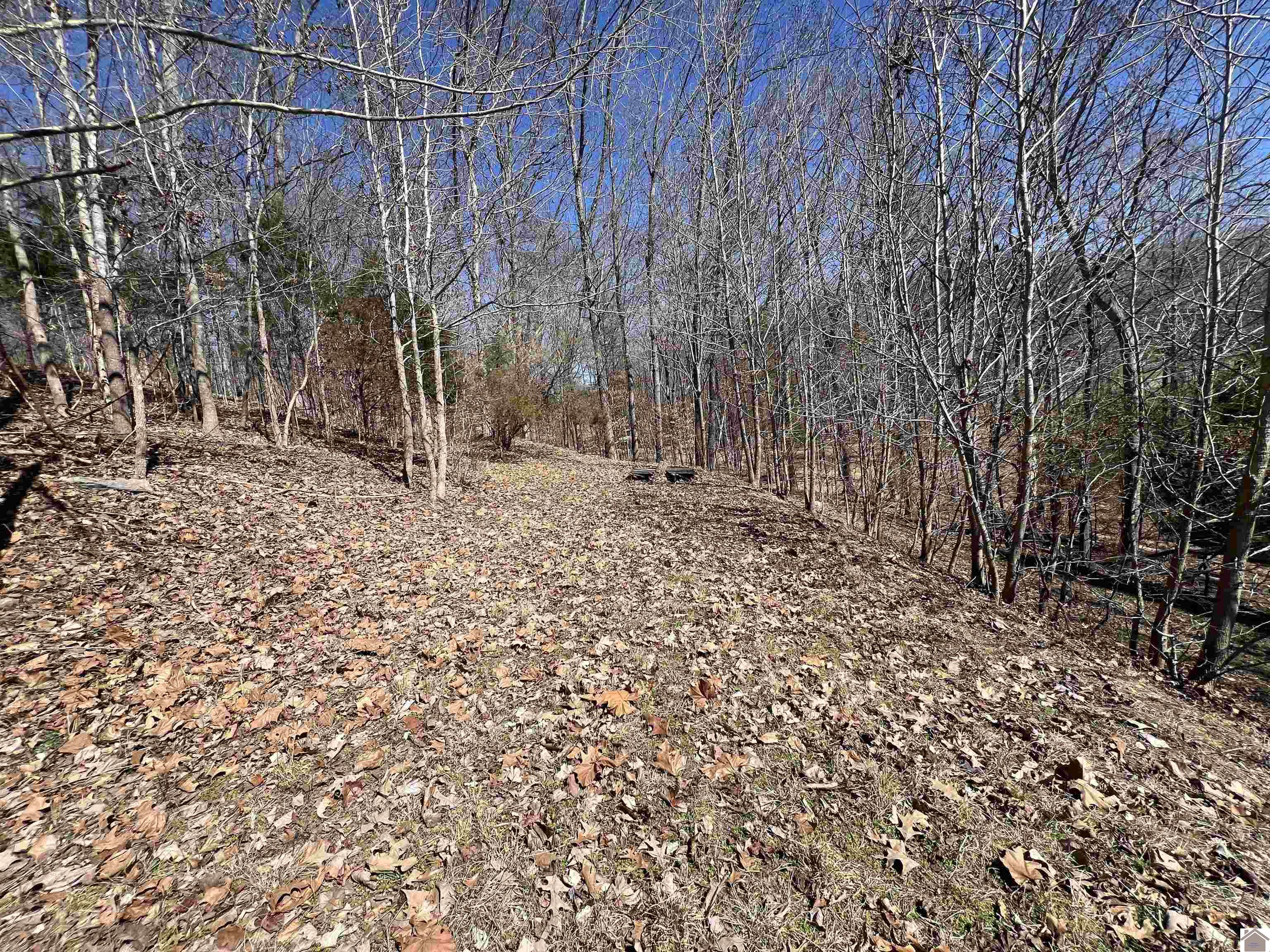 Tract 2 & 4 Oak Ridge Road Property Photo 40