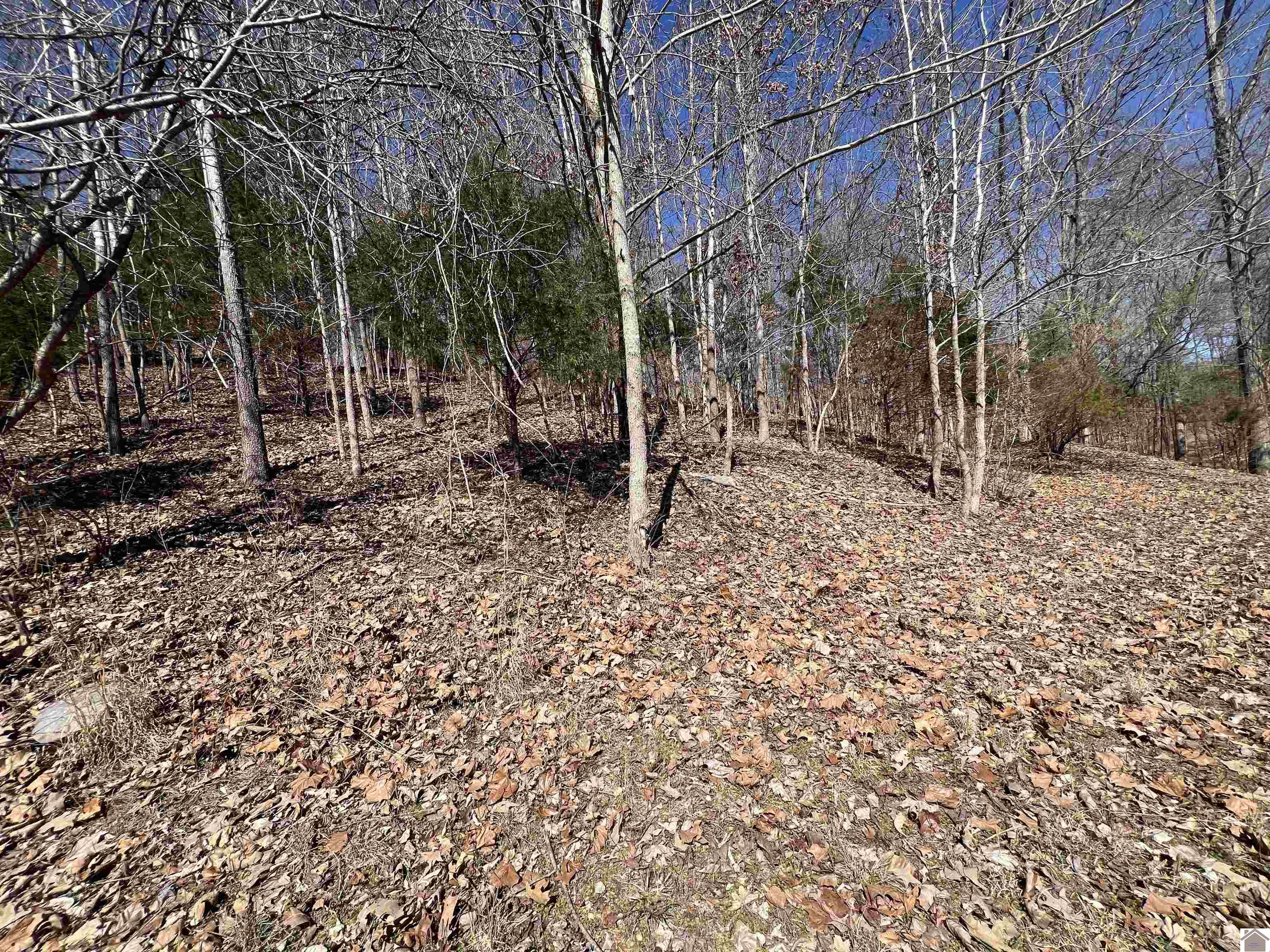 Tract 2 & 4 Oak Ridge Road Property Photo 41