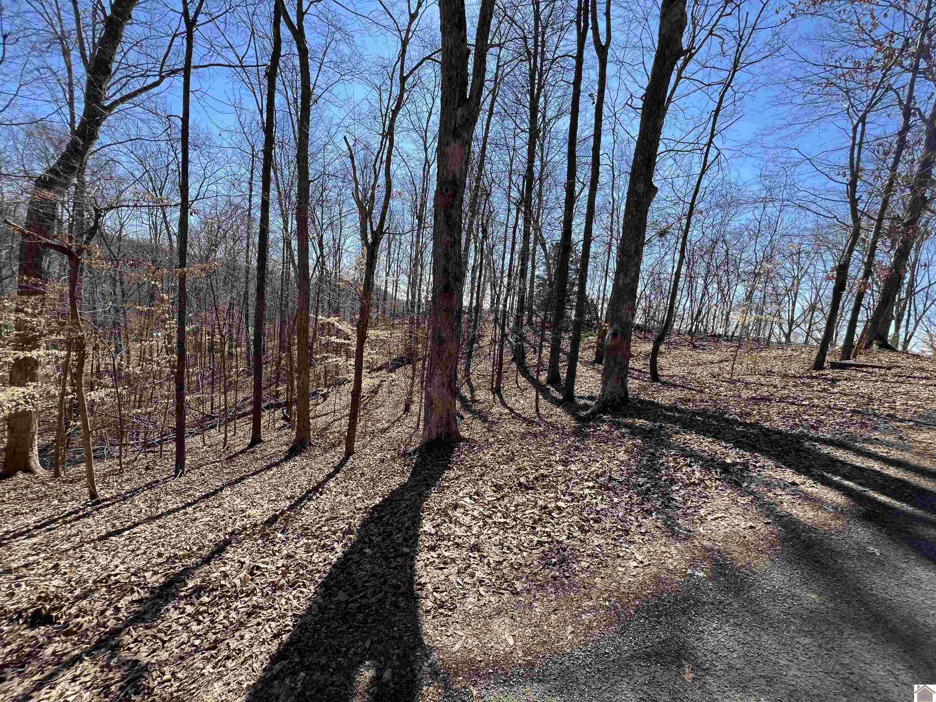 Tract 2 & 4 Oak Ridge Road Property Photo 43
