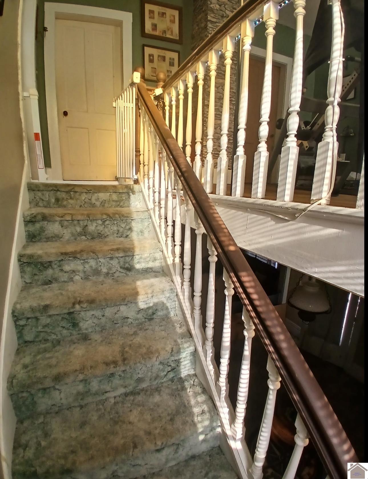 308 Charlotte St Property Photo 26