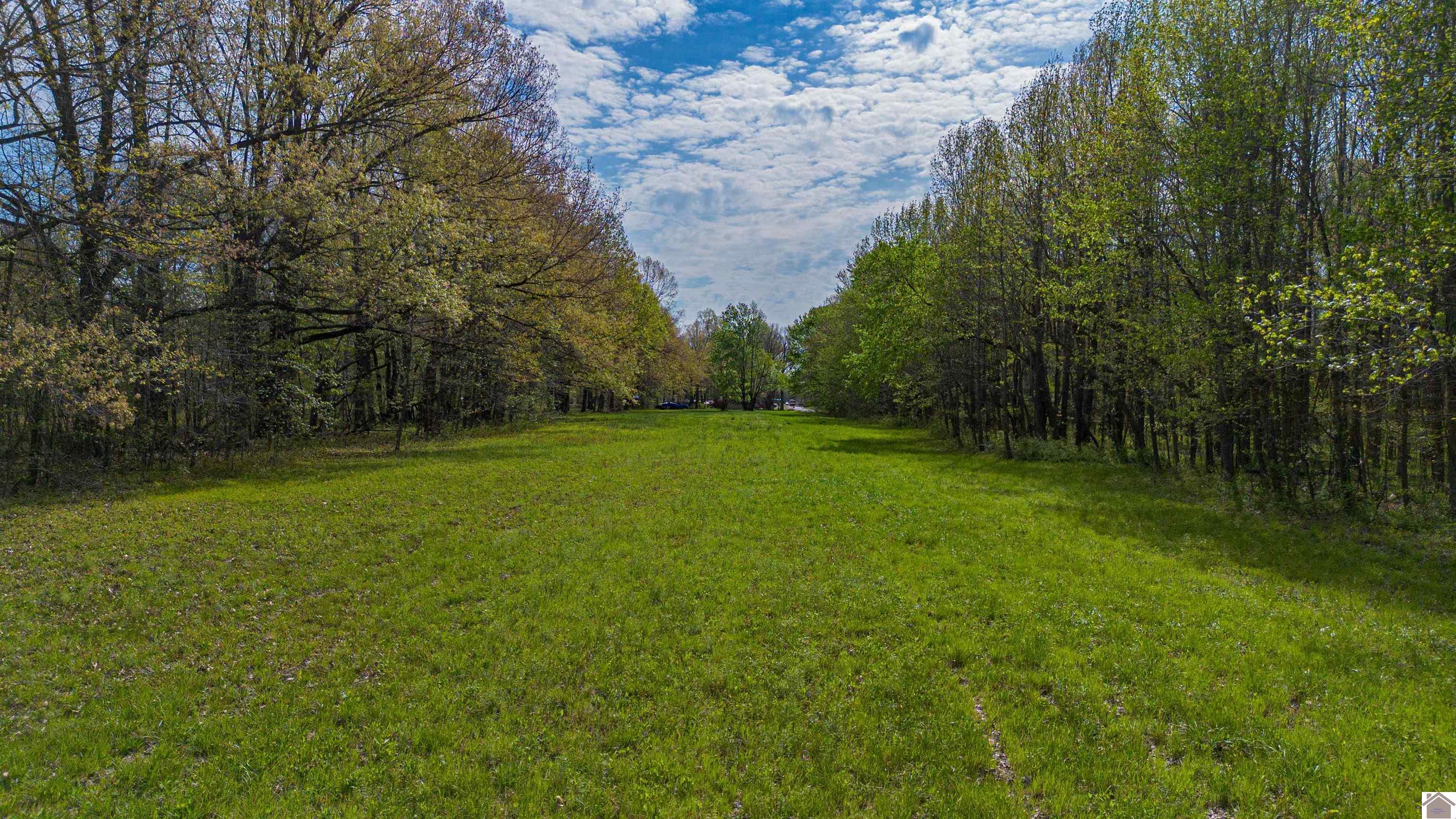 1740 + 1800 Husband Road Property Photo 9