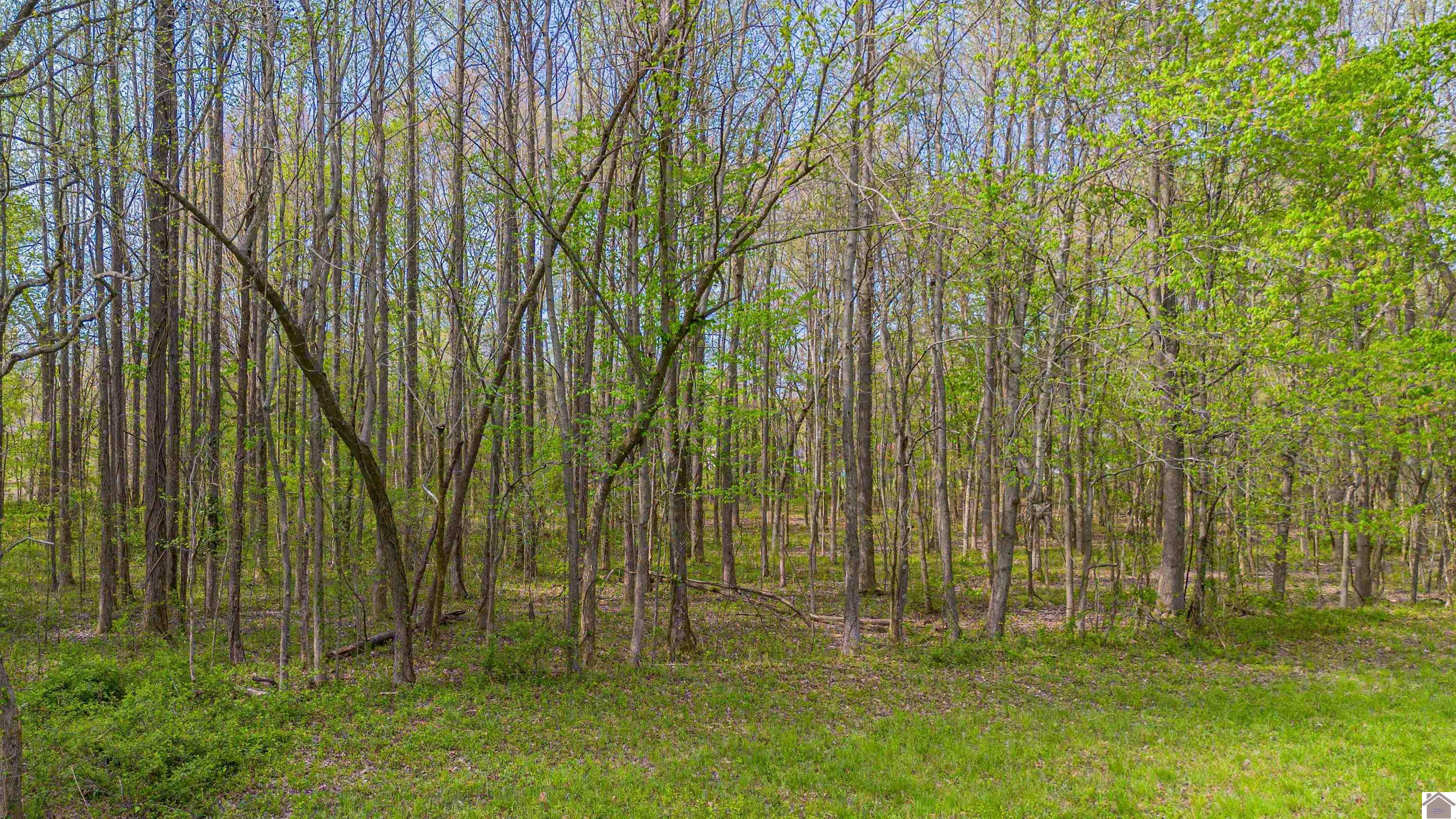 1740 + 1800 Husband Road Property Photo 11