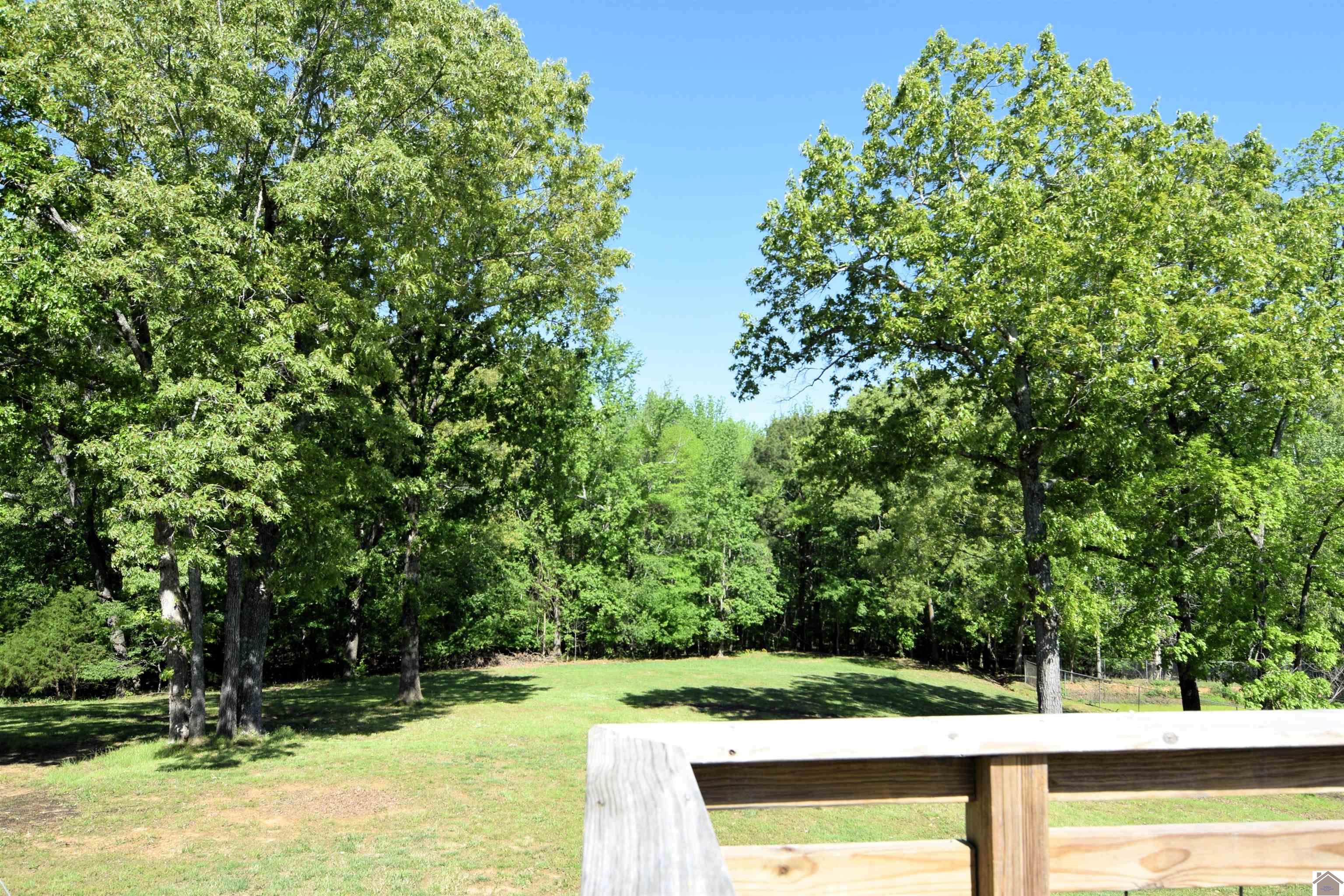 919 King Creek Property Photo 9