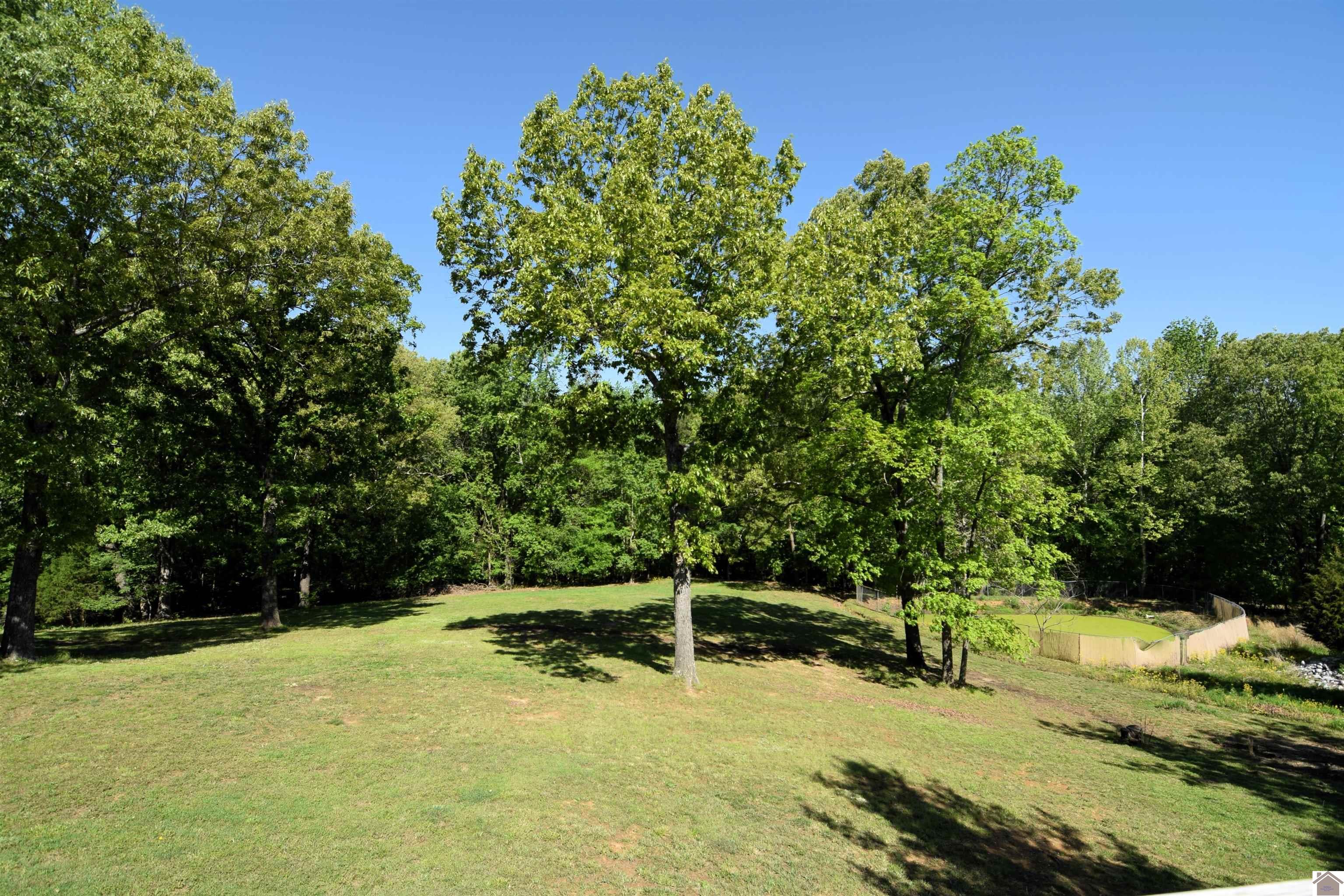 919 King Creek Property Photo 10